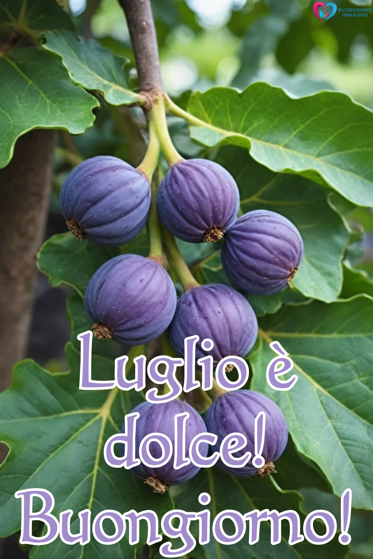 buongiorno luglio estate - immagini sole mare caldo gratis WhatsApp