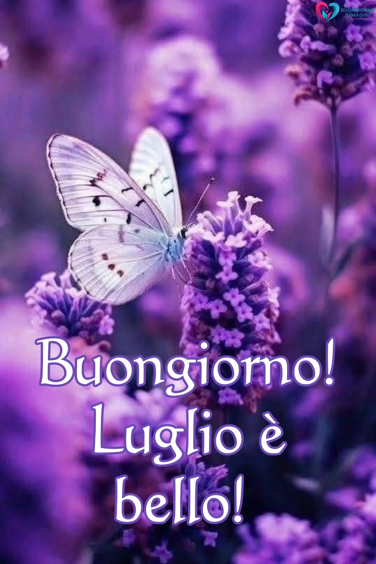 buongiorno luglio immagini nuove - immagini gratis per WhatsApp