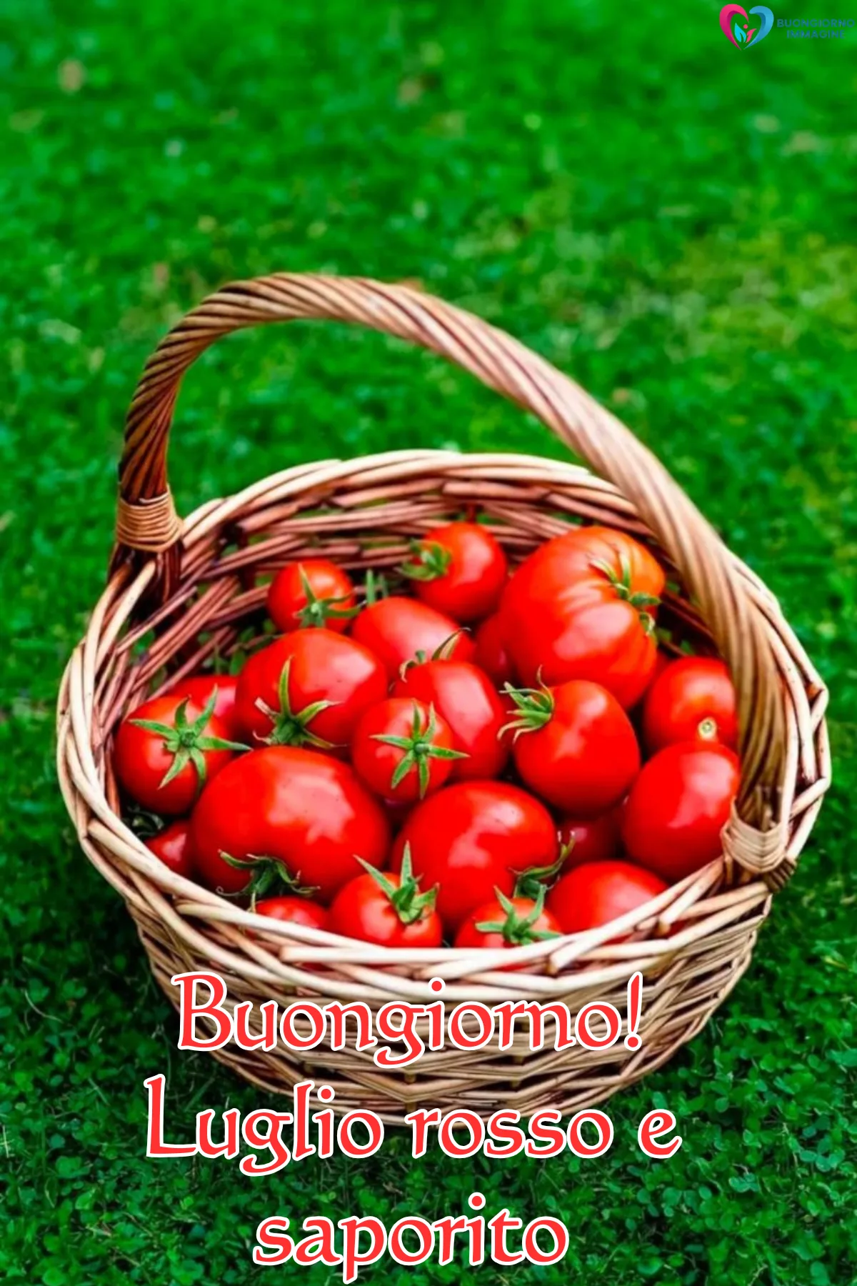 buongiorno luglio immagini nuove - immagini gratis per WhatsApp