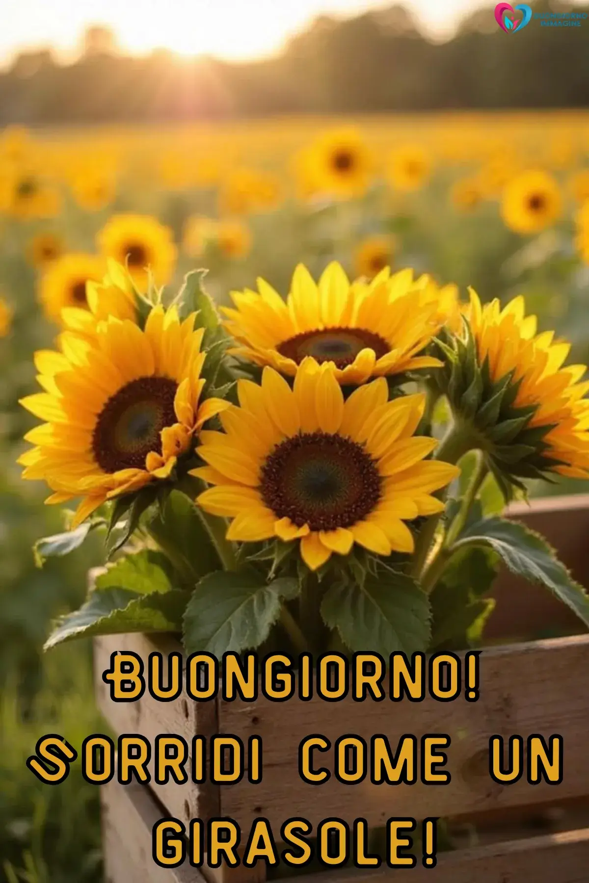 buongiorno estivo luglio con immagini gratis per WhatsApp