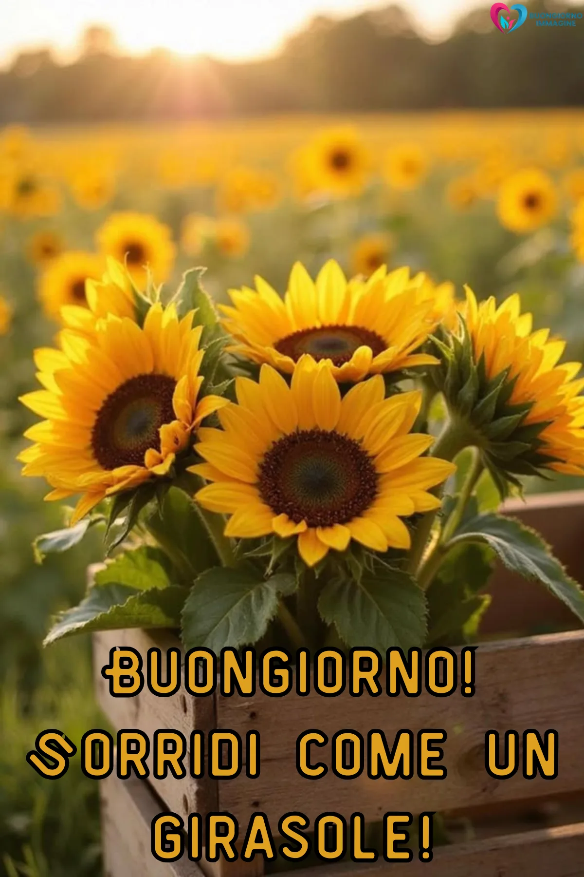 buongiorno luglio immagini nuove - immagini gratis per WhatsApp