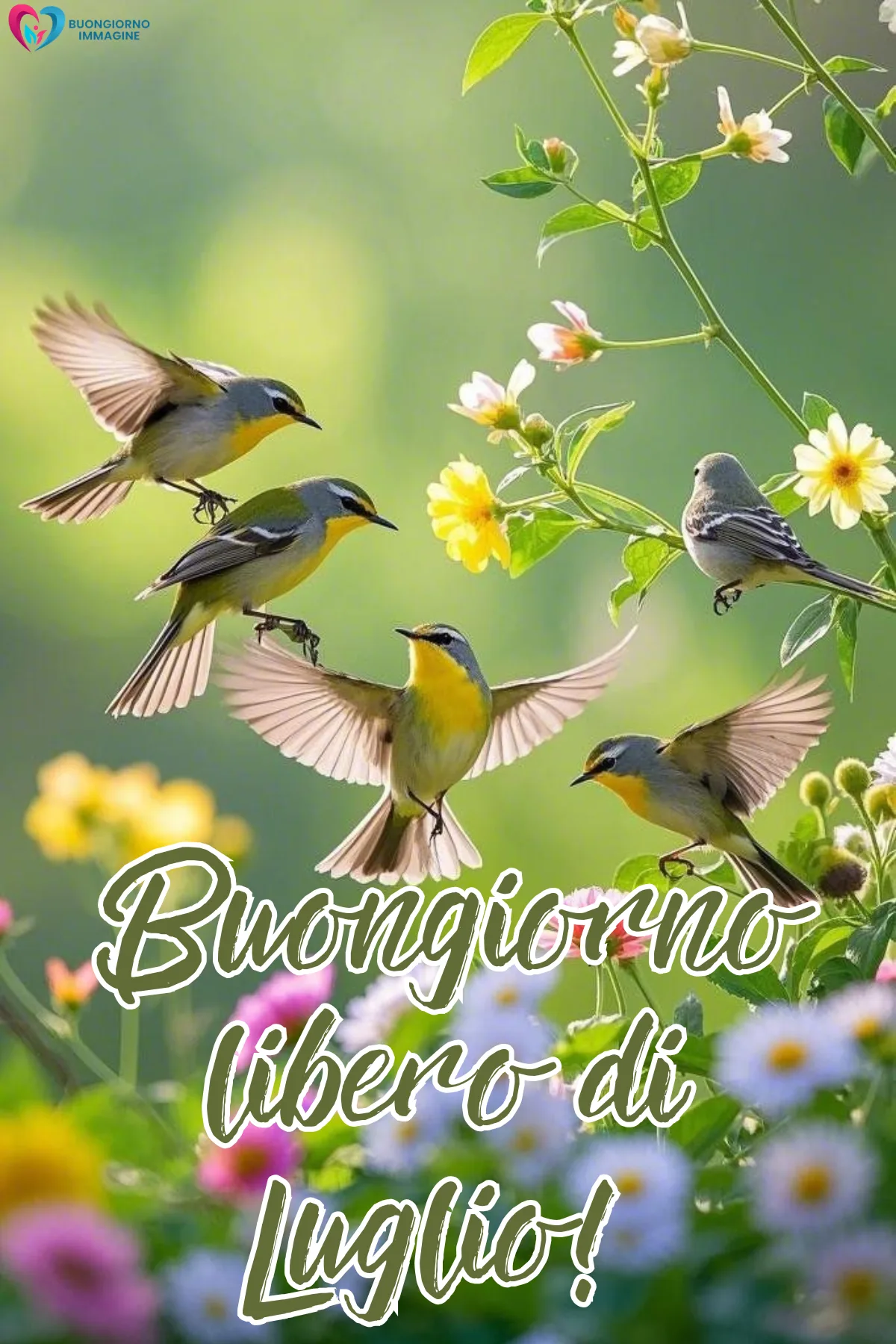 buongiorno luglio immagini nuove - immagini gratis per WhatsApp