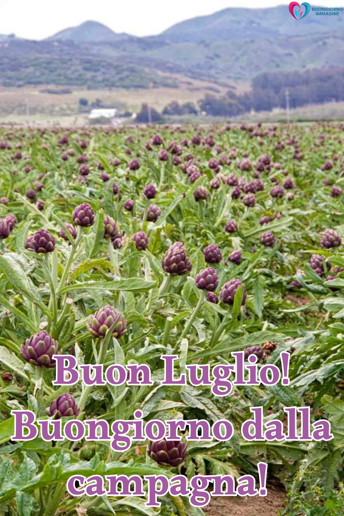 buongiorno luglio immagini nuove - immagini gratis per WhatsApp