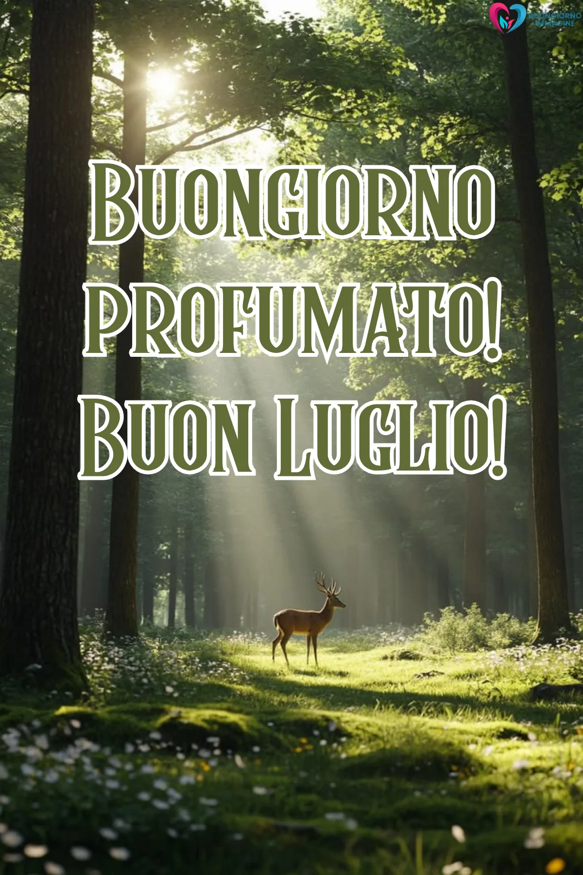 buongiorno luglio immagini nuove - immagini gratis per WhatsApp