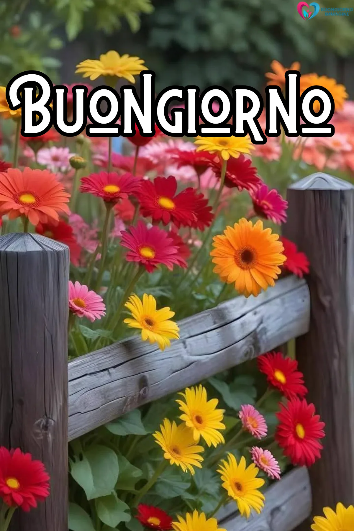 buongiorno luglio immagini nuove - immagini gratis per WhatsApp