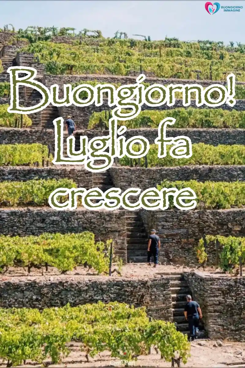 Buongiorno luglio — immagine gratis per WhatsApp