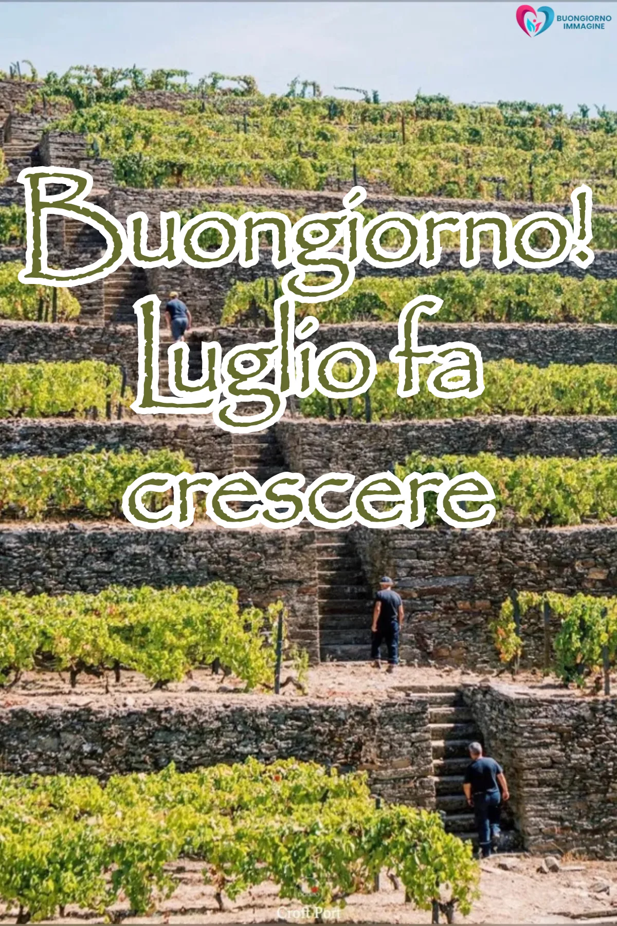 buongiorno luglio estate - immagini sole mare caldo gratis WhatsApp