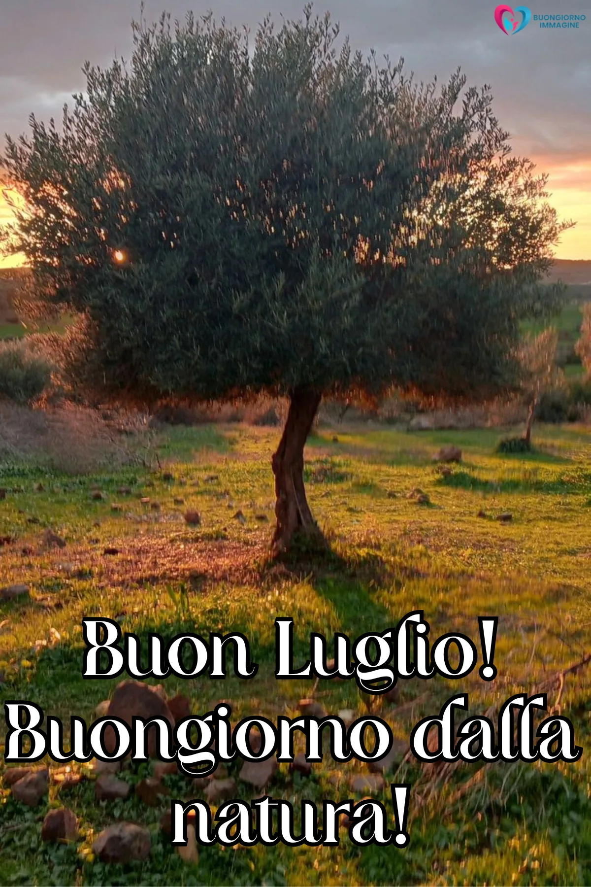 buongiorno luglio immagini nuove - immagini gratis per WhatsApp