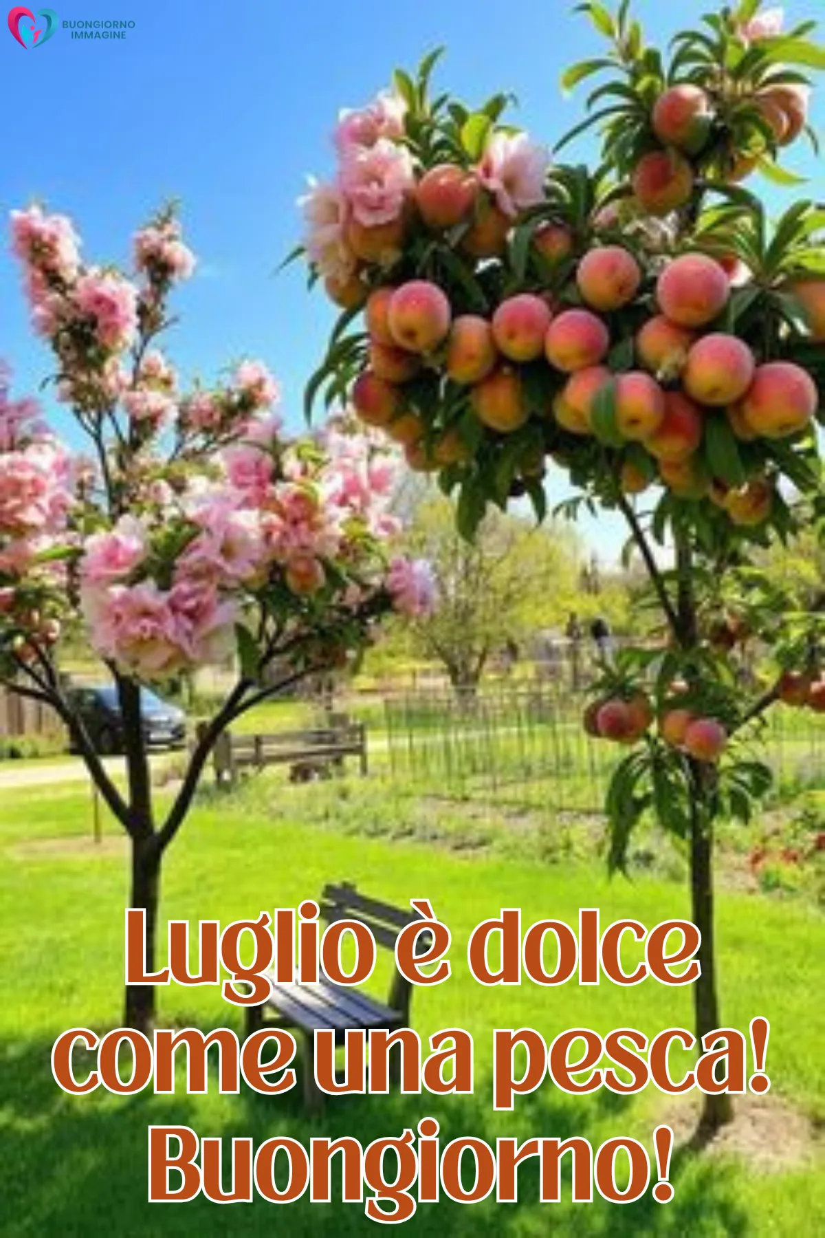 buongiorno luglio immagini nuove - immagini gratis per WhatsApp