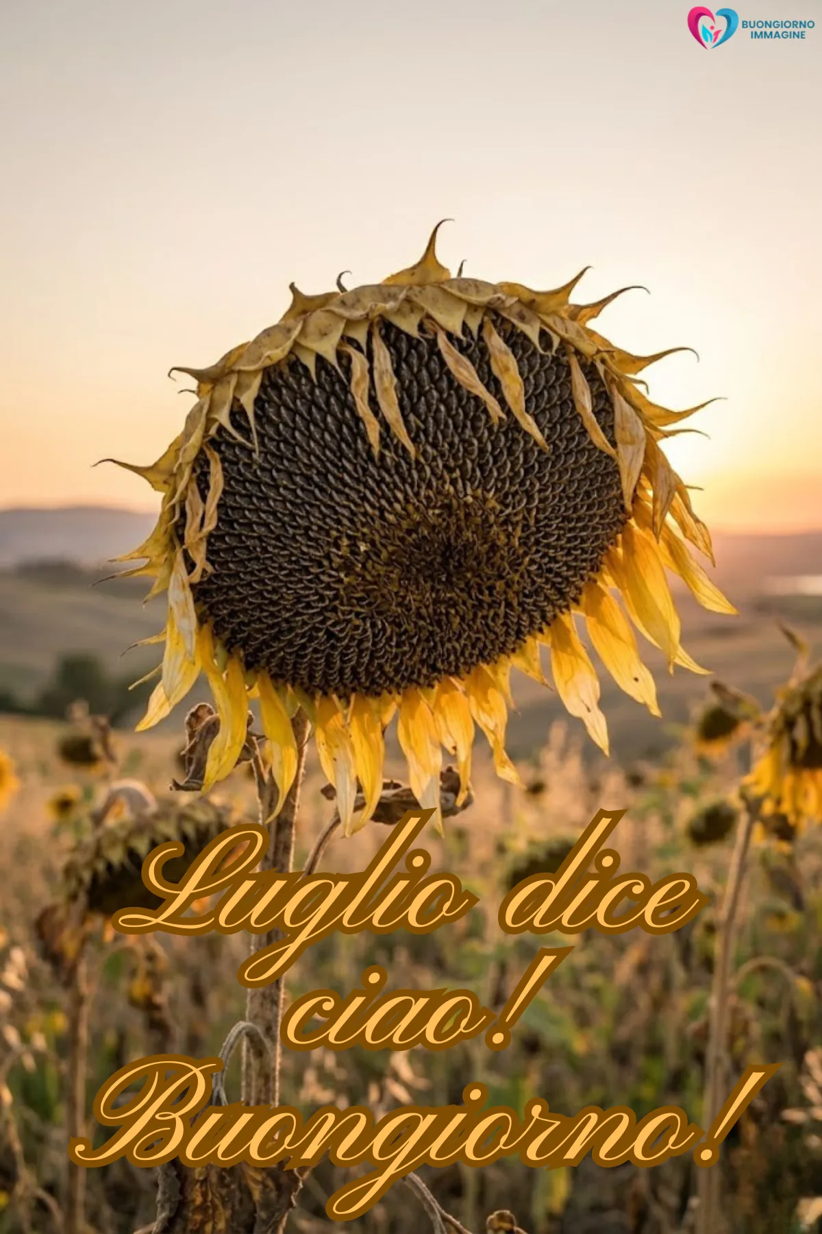 arrivederci luglio - immagini buon 31 luglio gratis per WhatsApp