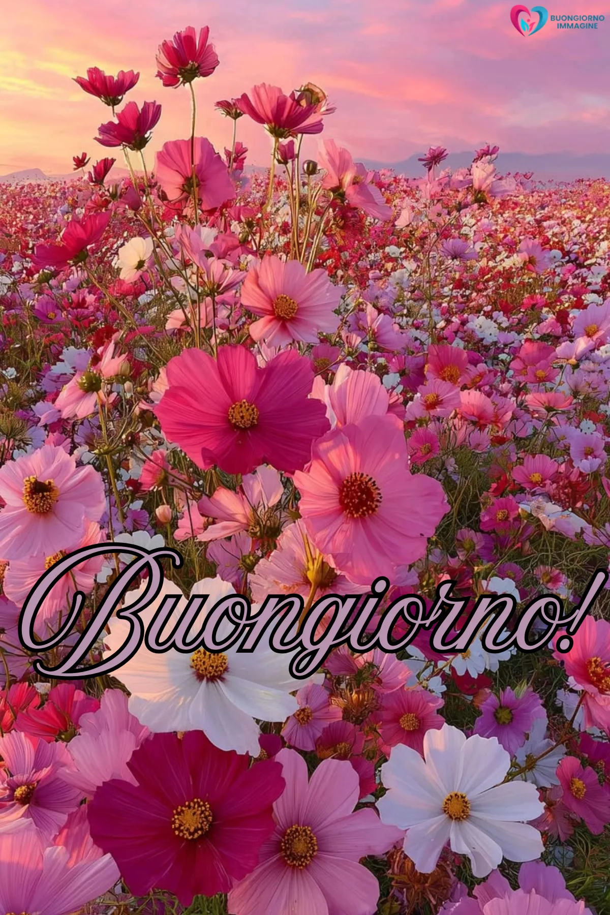 buongiorno luglio frasi belle - immagini con frasi gratis per WhatsApp