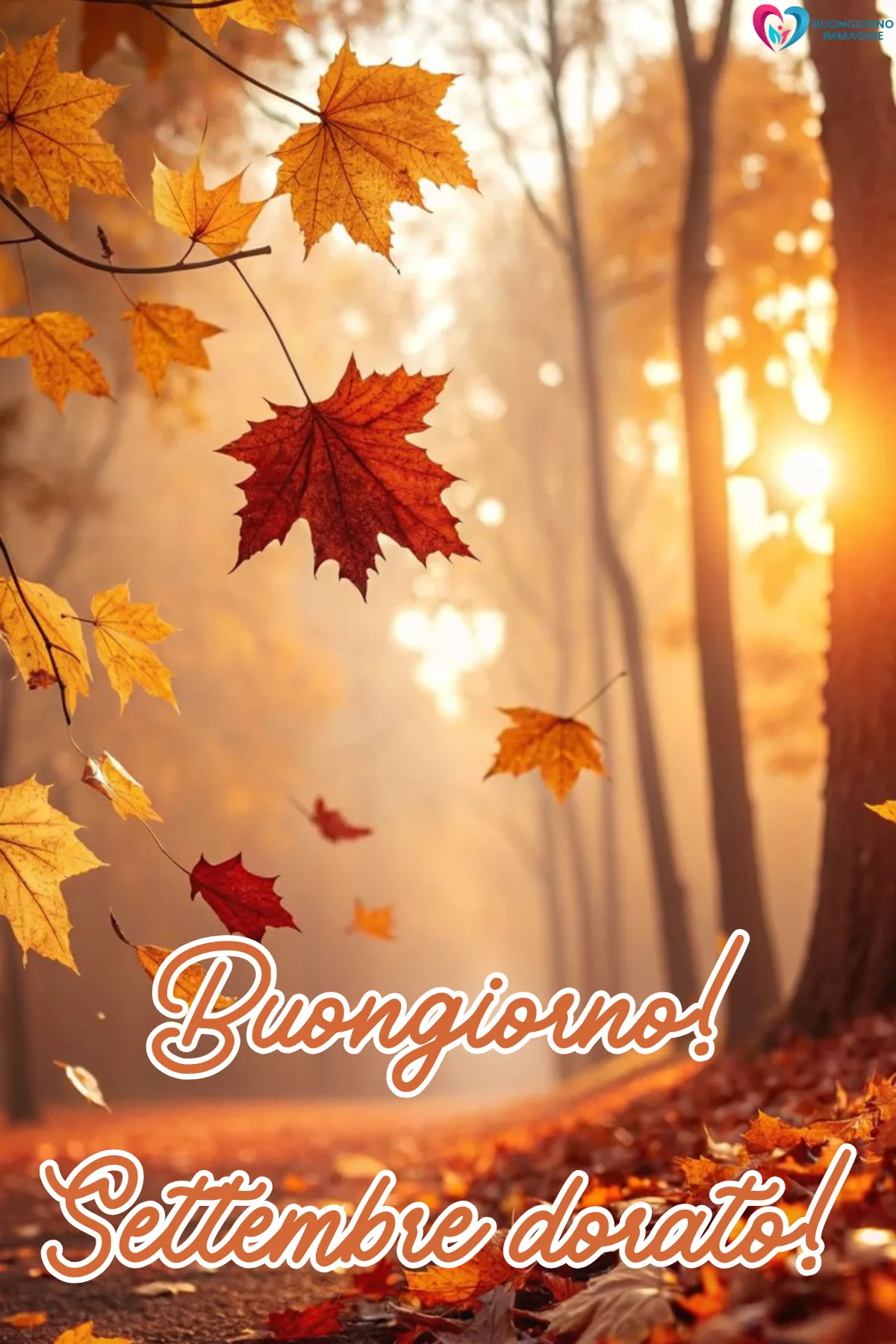 foglie autunnali cadenti nel bosco con luce dorata - buongiornoimmagine.it - settembre 2026