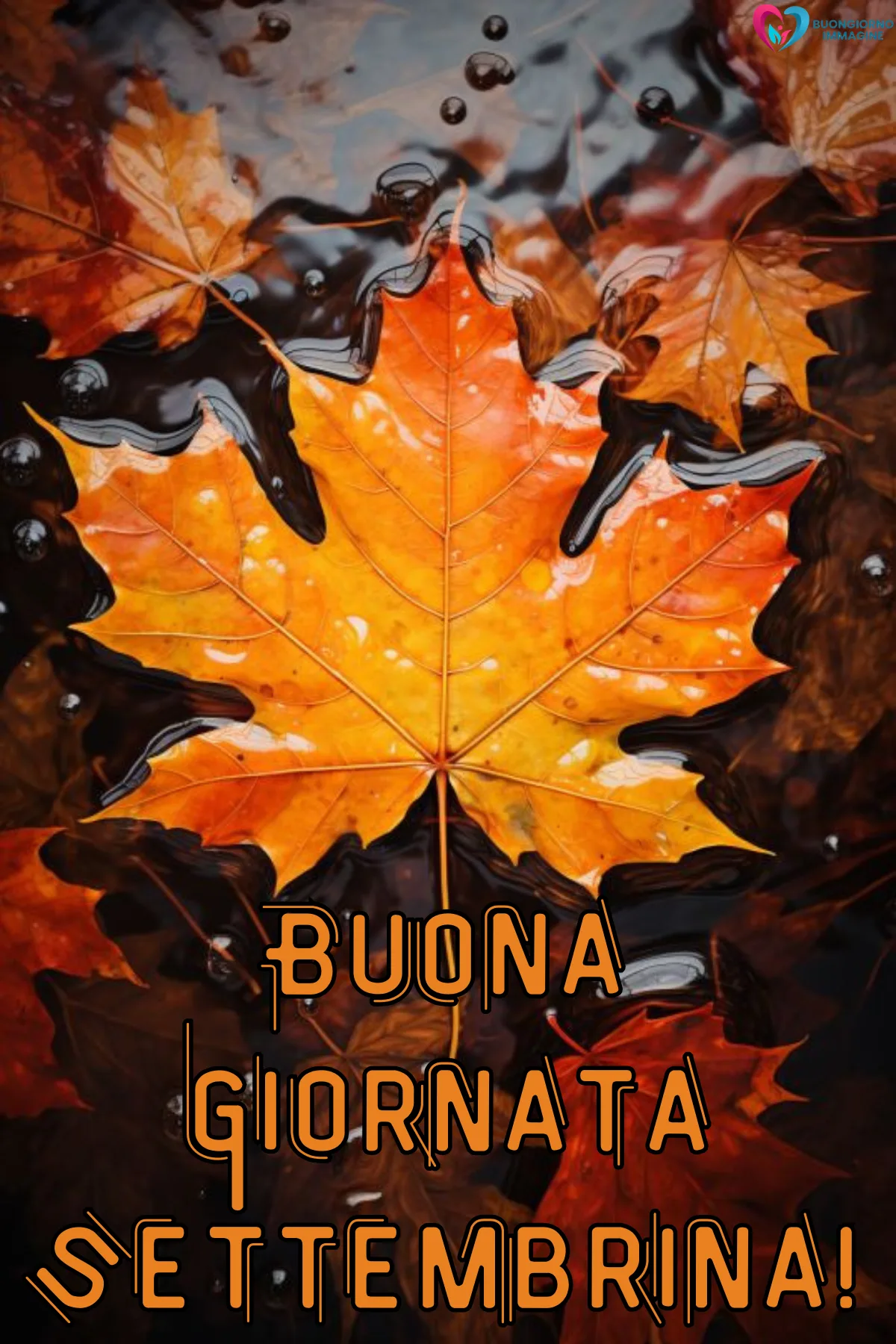 foglie autunnali arancioni su acqua scura con scritta - buongiornoimmagine.it - settembre 2026
