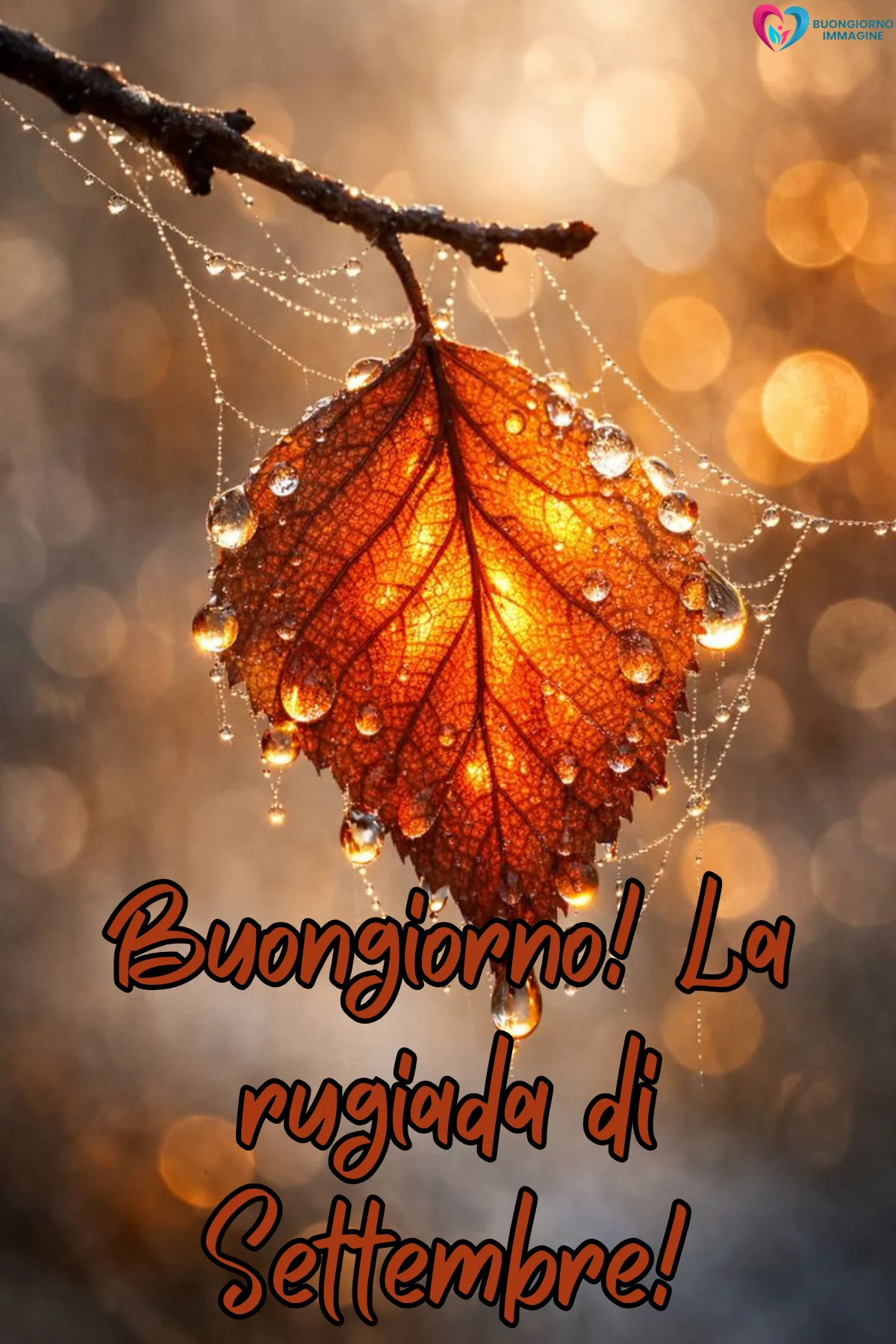 immagini buongiorno settembre - foglia autunnale arancione con gocce di rugiada - immagini nuove gratis per WhatsApp