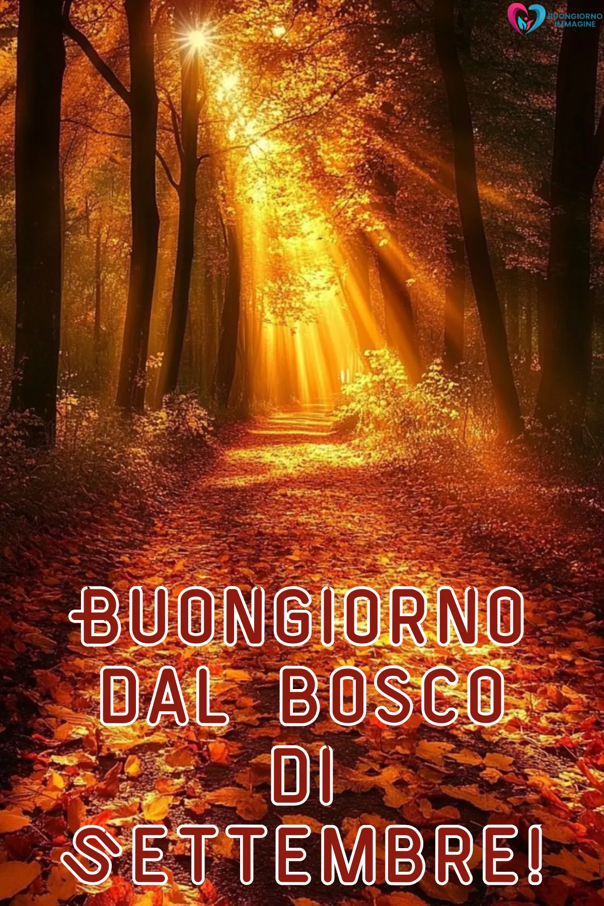sentiero boschivo autunnale con raggi dorati tra gli alberi - buongiornoimmagine.it - settembre 2026