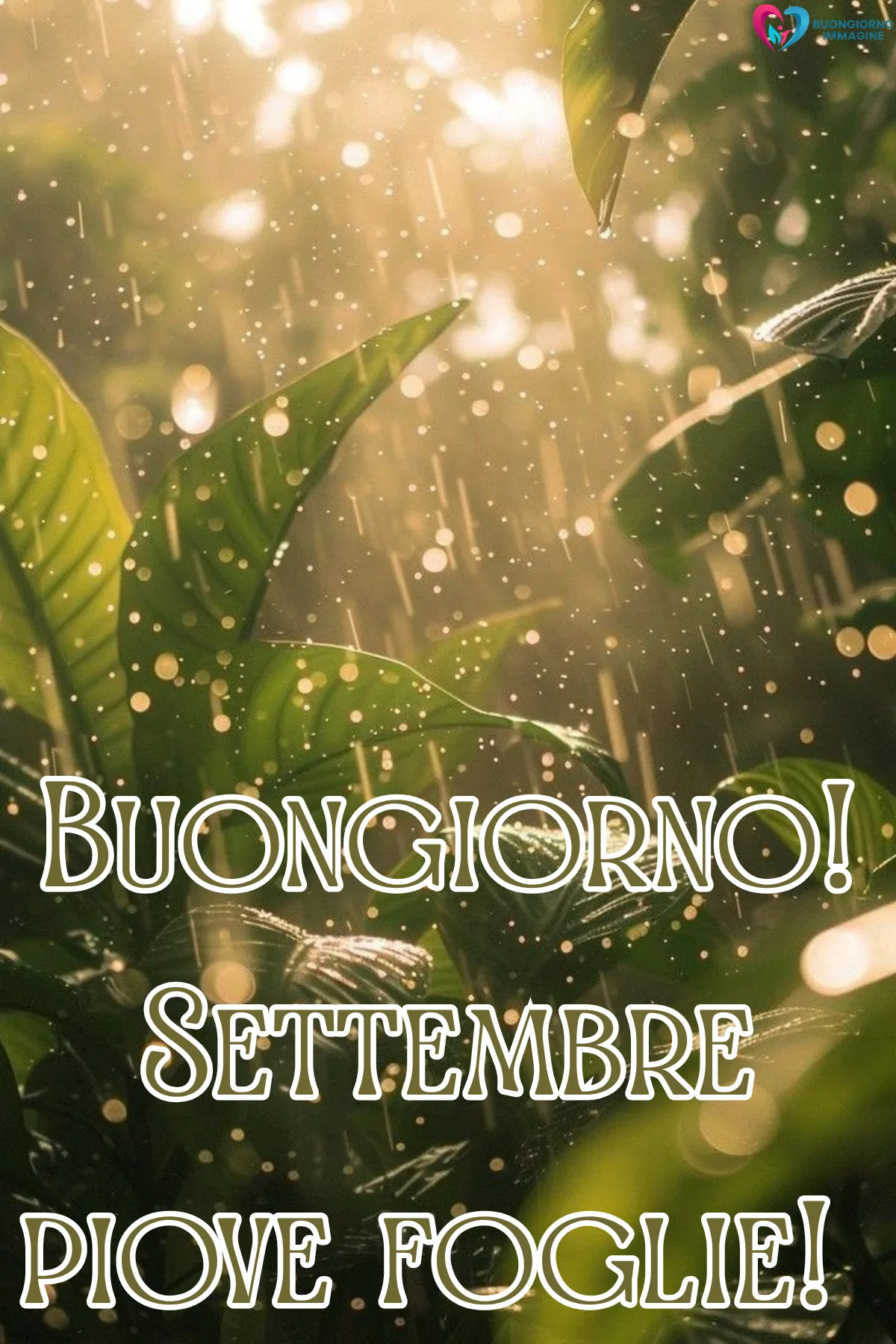 buongiorno 1 settembre - foglie verdi lussureggianti con pioggia e luce dorata - immagini nuove gratis per WhatsApp