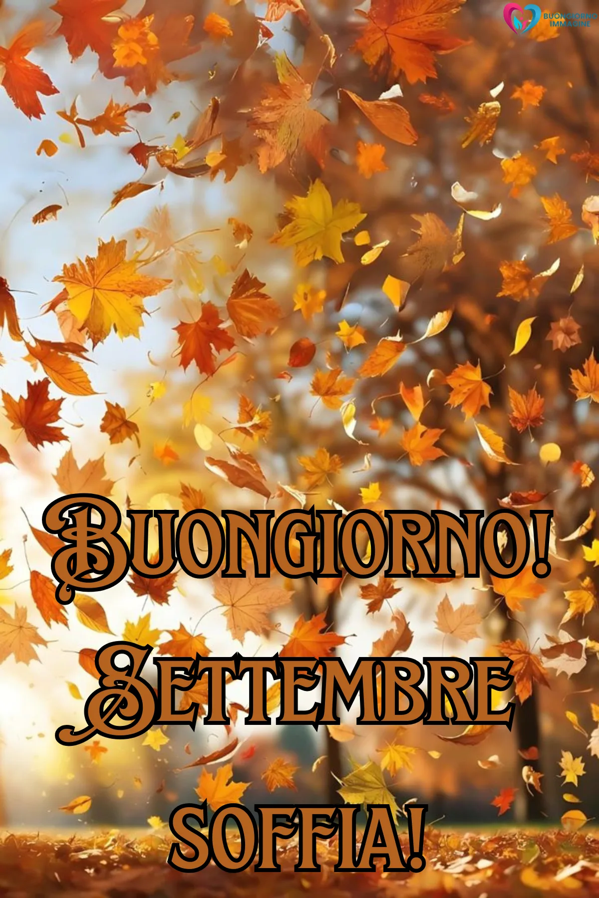 foglie autunnali arancioni volano nel vento tra alberi - buongiornoimmagine.it - settembre 2026