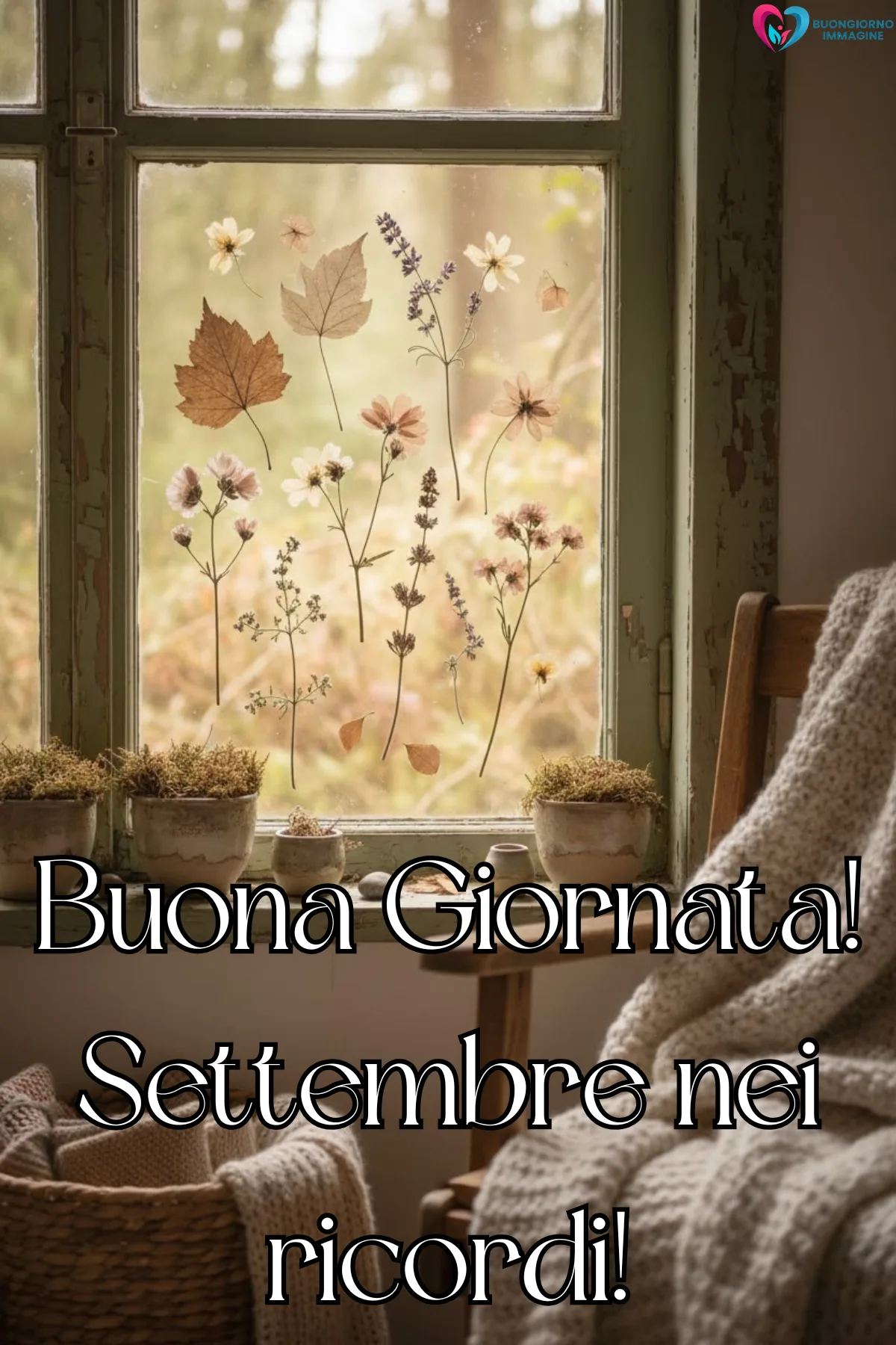 buon settembre - finestra rustica con fiori secchi e coperta morbida autunnale - immagini nuove gratis per WhatsApp