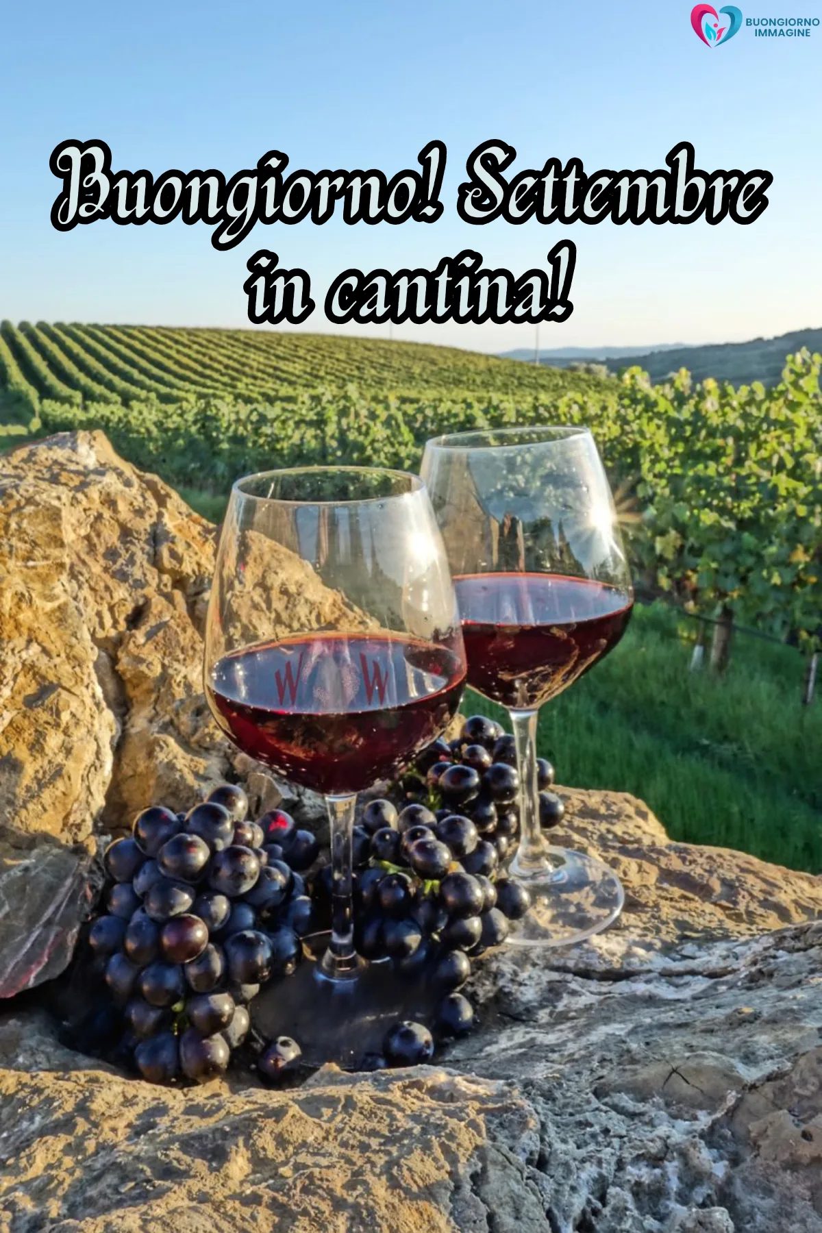due calici di vino rosso vigneto uva nera rocce - buongiornoimmagine.it - settembre 2026
