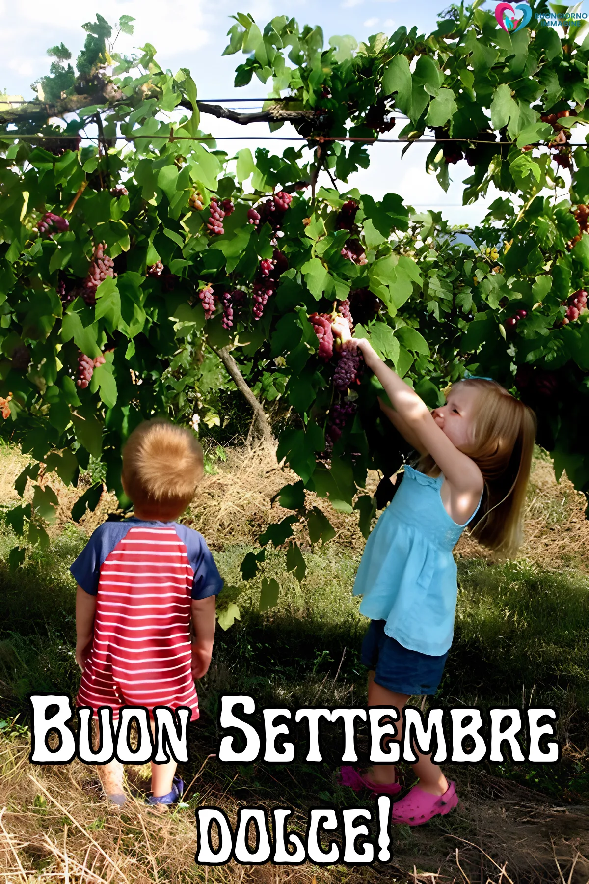 buongiorno settembre - due bambini raccolgono uva rossa da un pergolato - immagini nuove gratis per WhatsApp