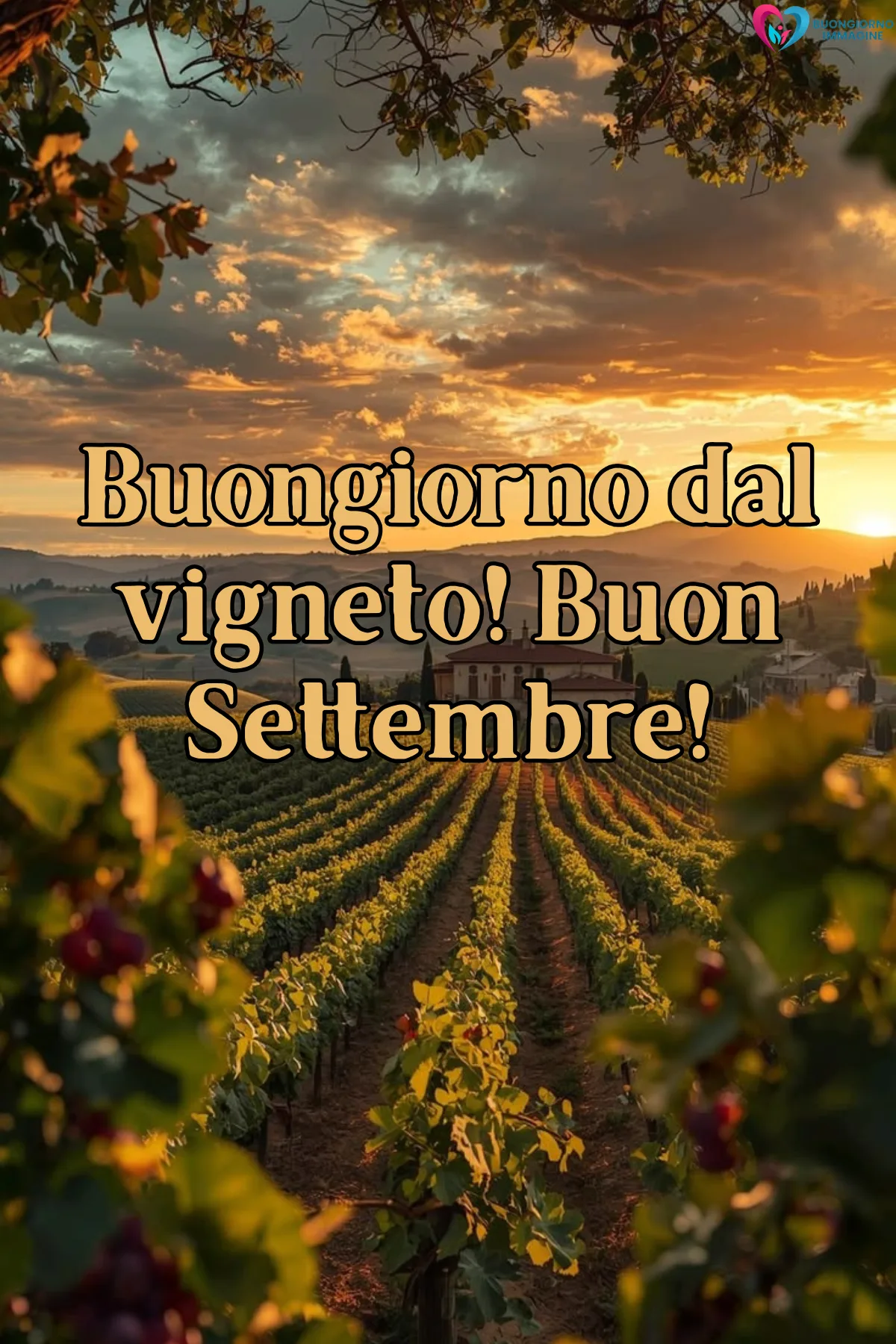 vigneto al tramonto con grappoli d'uva e villa toscana - buongiornoimmagine.it - settembre 2026