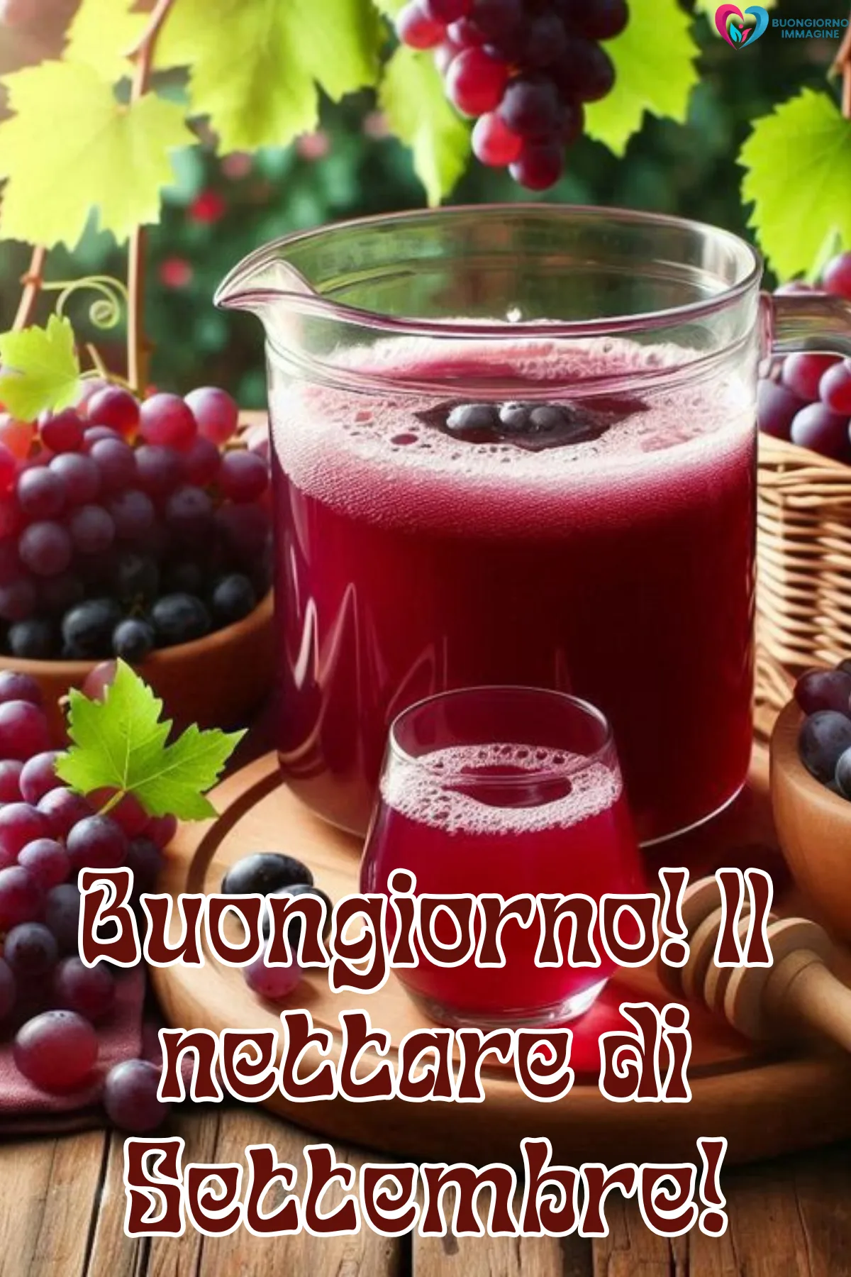 buon settembre - succo d'uva rosso con grappoli freschi su tavolo - immagini nuove gratis per WhatsApp