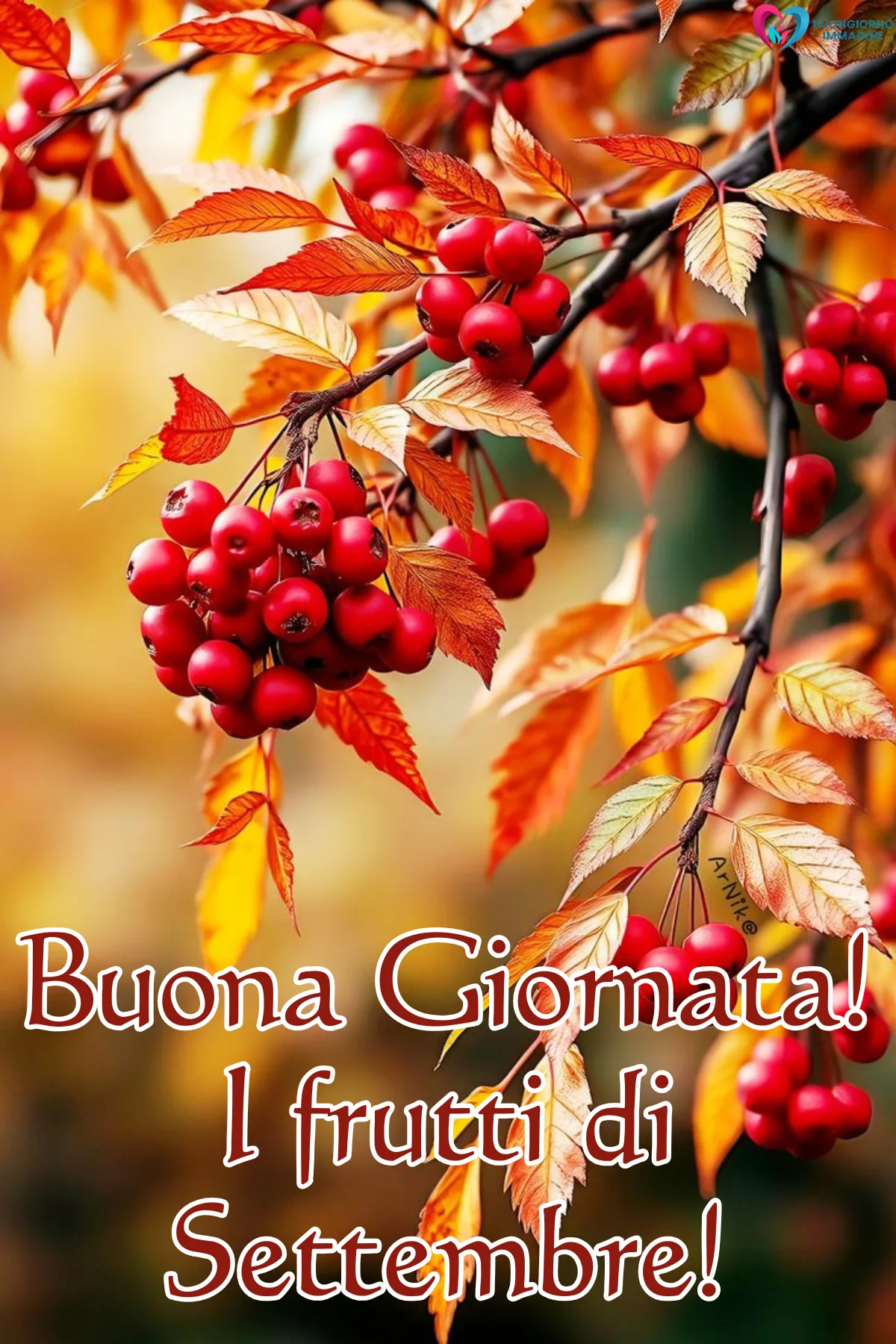 immagini settembre gratis per whatsapp - bacche rosse su rami con foglie arancioni - immagini nuove gratis per WhatsApp