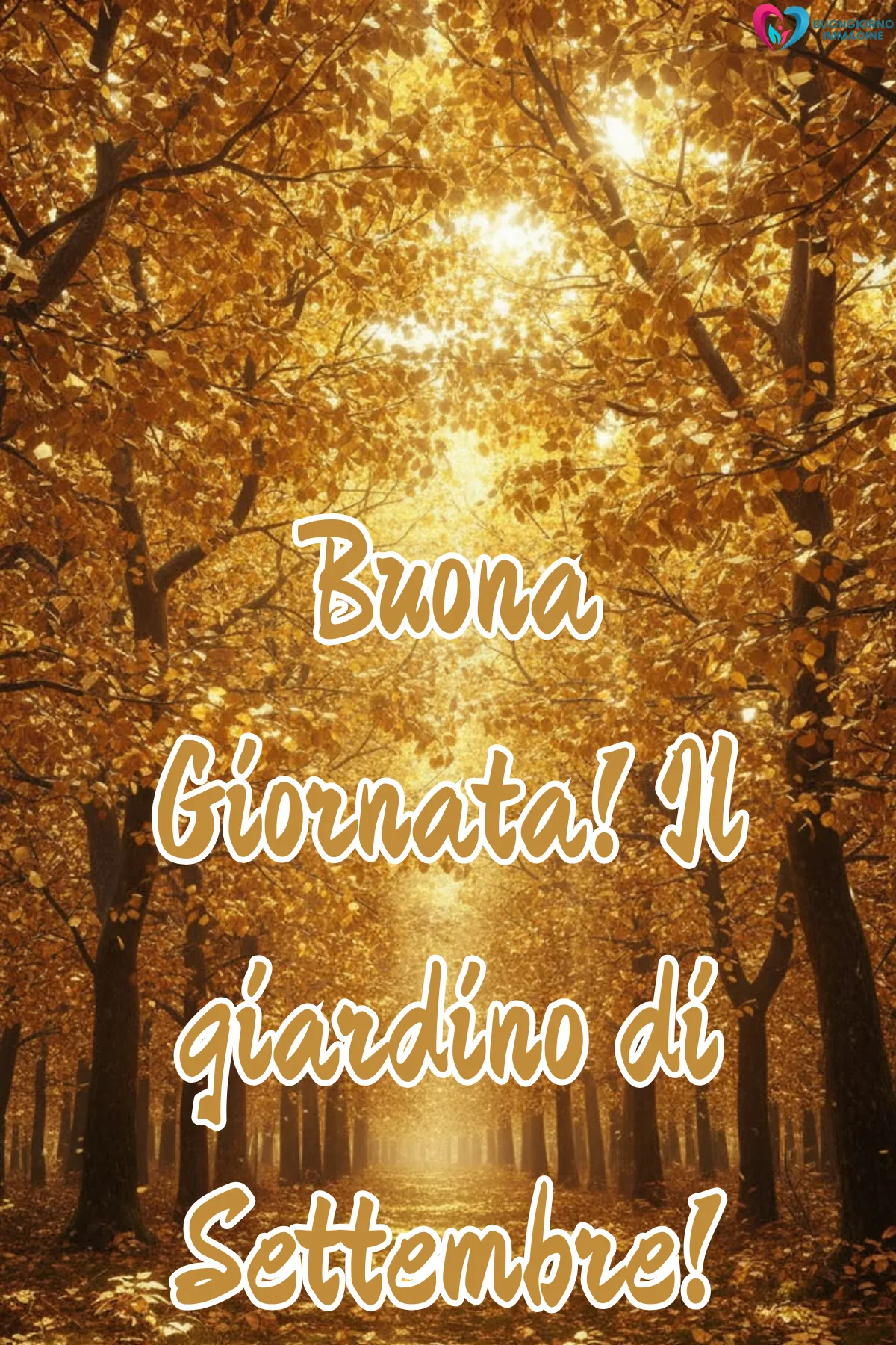 viale alberato autunnale dorato con luce solare penetrante - buongiornoimmagine.it - settembre 2026