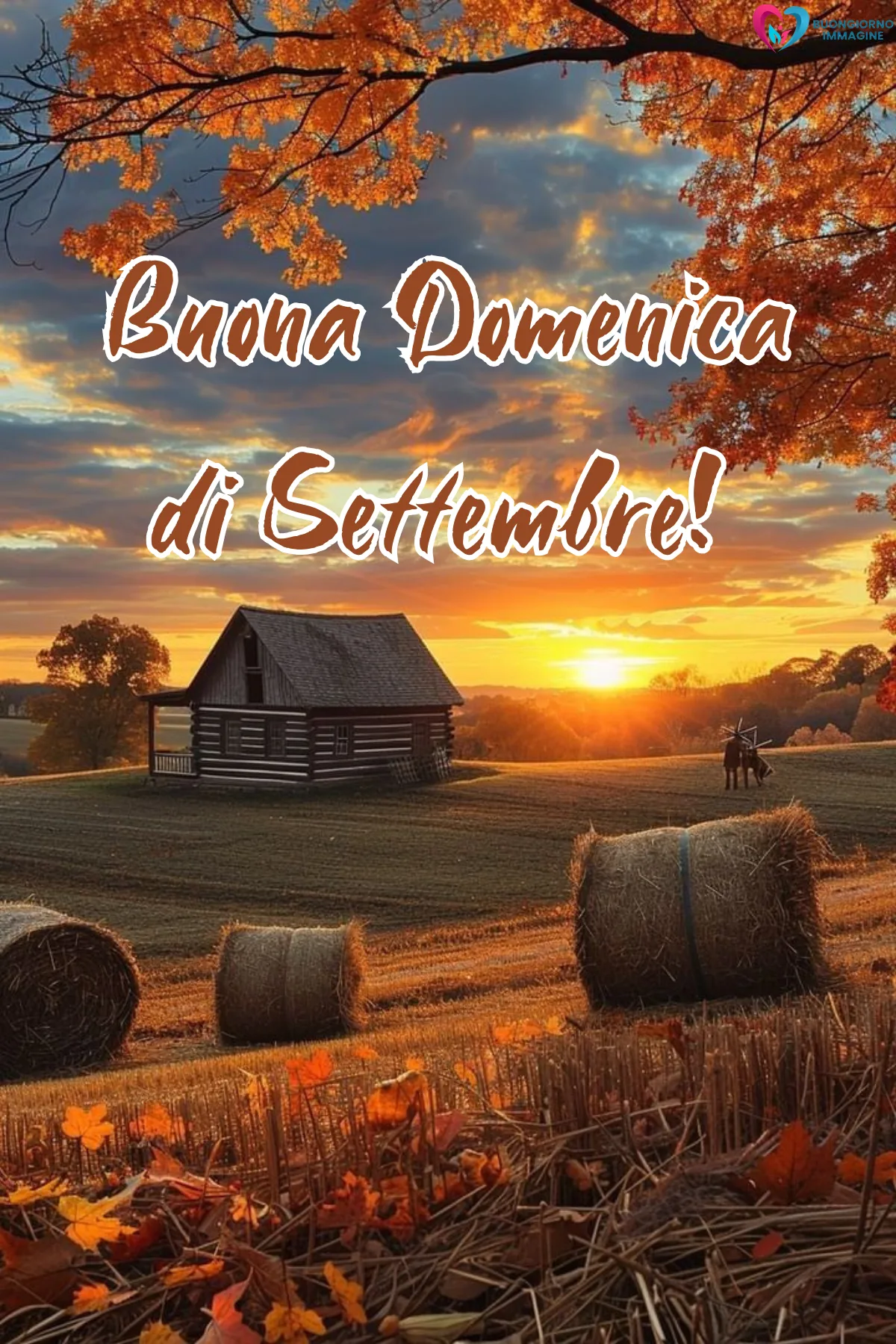 buona domenica di settembre - paesaggio autunnale rurale tramonto balle di fieno - immagini nuove gratis per WhatsApp