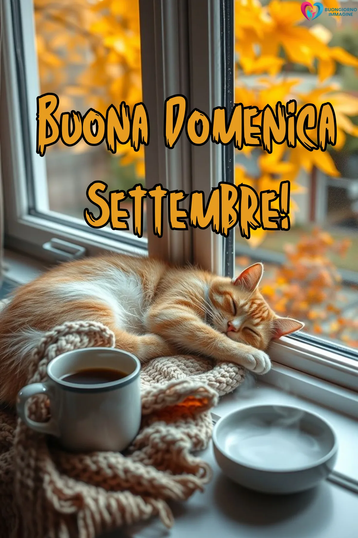 immagini buongiorno settembre - gatto arancione dorme sul davanzale con caffè caldo - immagini nuove gratis per WhatsApp