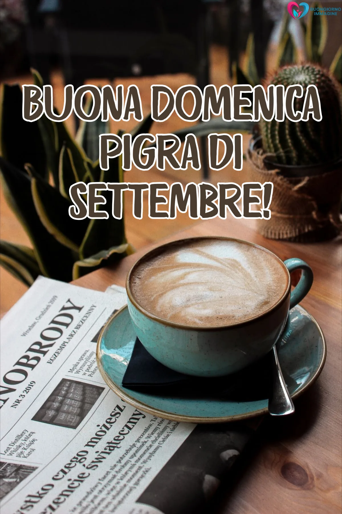 cappuccino artistico giornale polacco piante grasse tavolo legno - buongiornoimmagine.it - settembre 2026