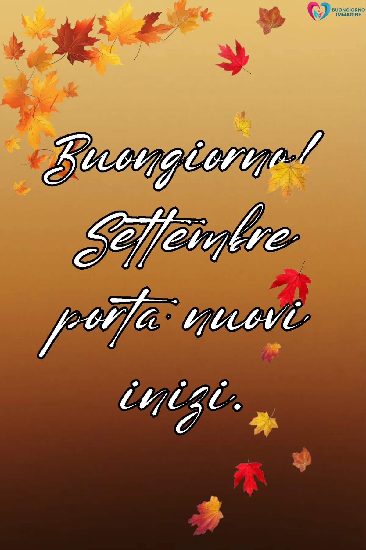 buongiorno settembre - foglie autunnali colorate settembre nuovi inizi tono positivo - immagini nuove gratis per WhatsApp