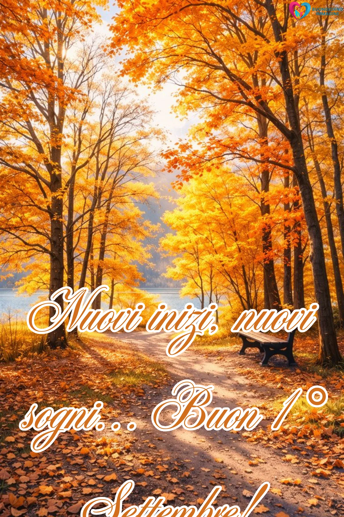 buongiorno 1 settembre - paesaggio autunnale dorato con sentiero e panchina solitaria - immagini nuove gratis per WhatsApp