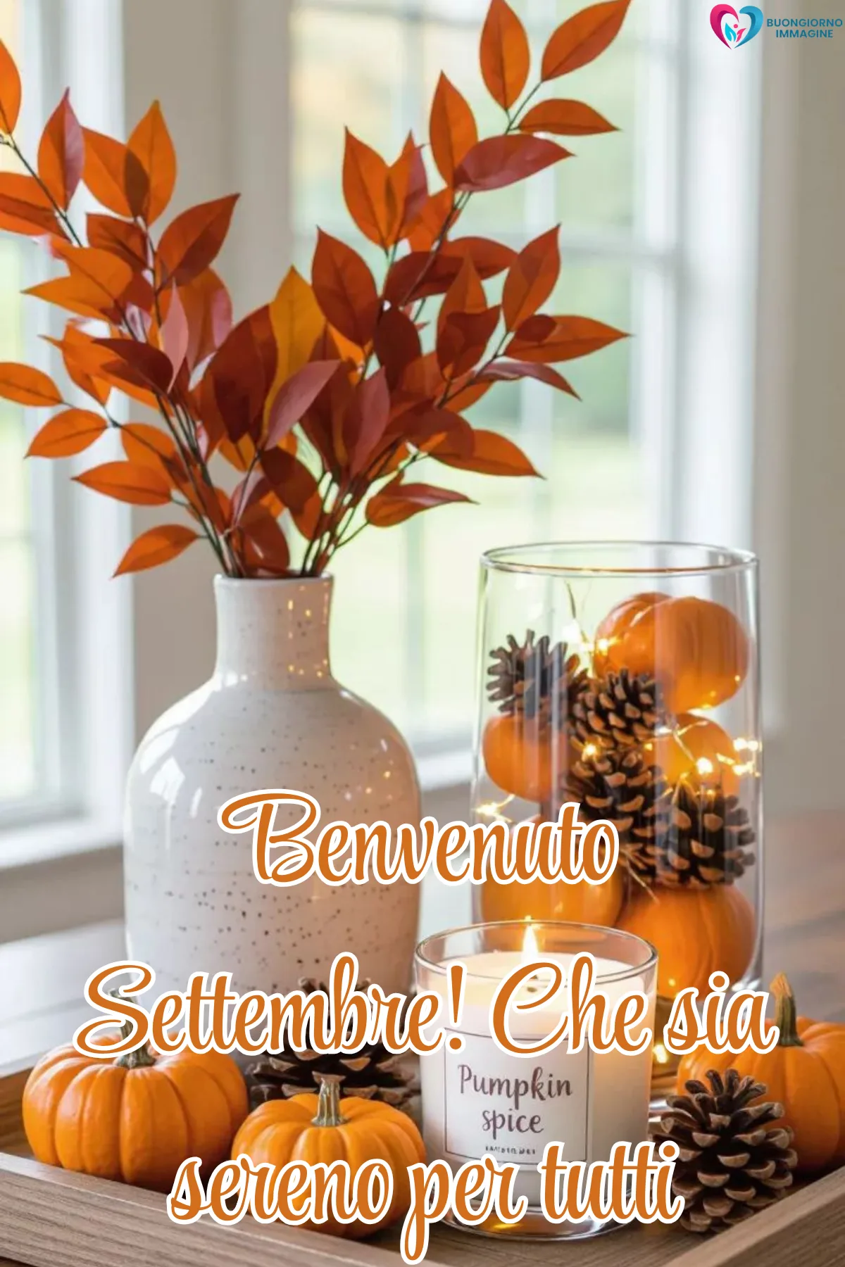 immagini buongiorno settembre - decorazione autunnale zucche pigne candela benvenuto - immagini nuove gratis per WhatsApp