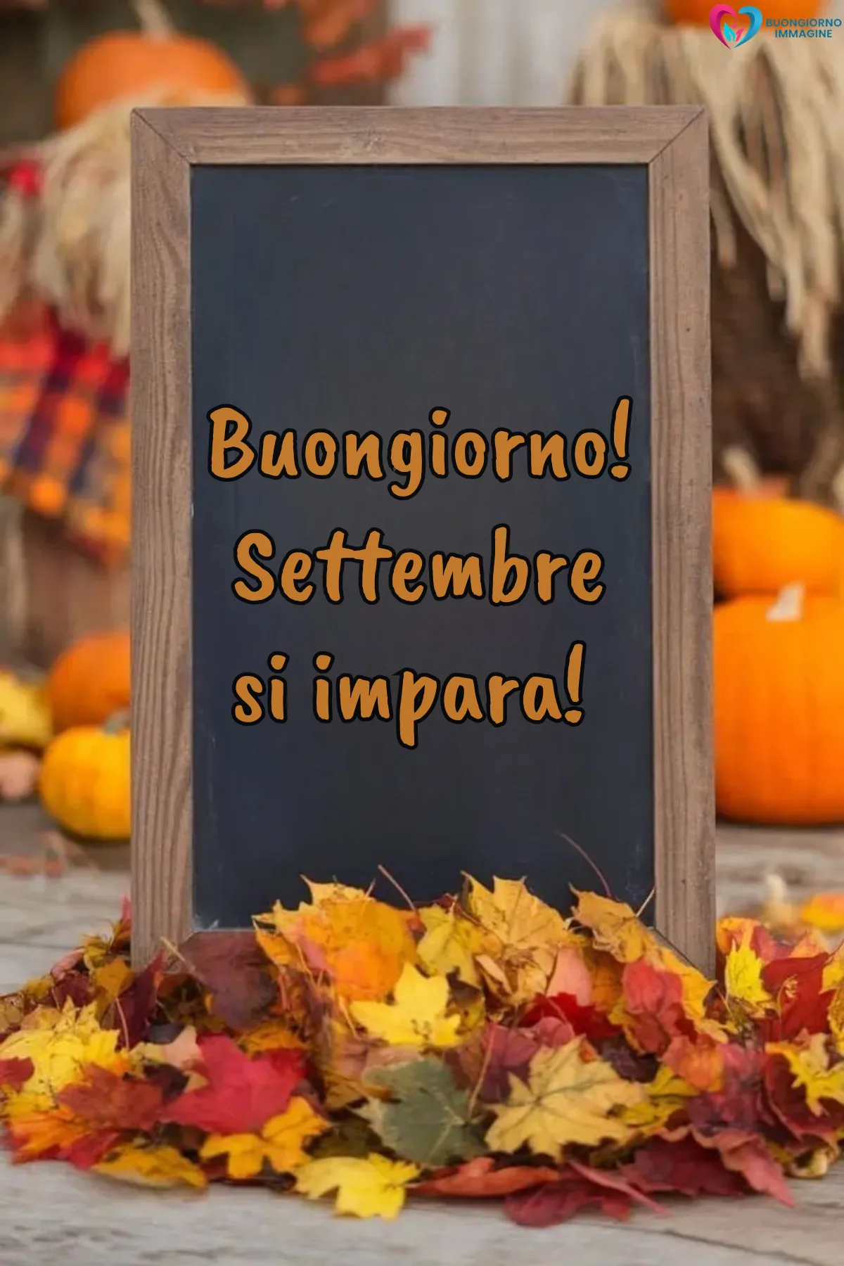 buongiorno 1 settembre - lavagna con foglie autunnali zucche e scritta settembre - immagini nuove gratis per WhatsApp
