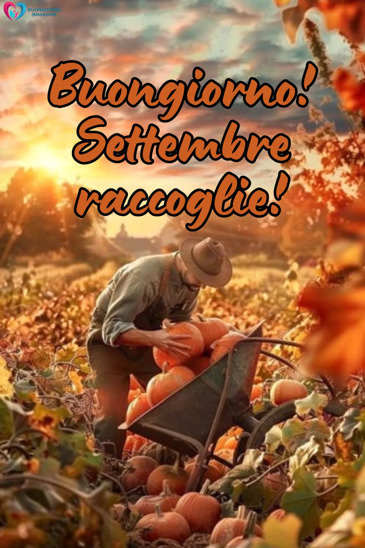 contadino raccoglie zucche arancioni in campo autunnale dorato - buongiornoimmagine.it - settembre 2026