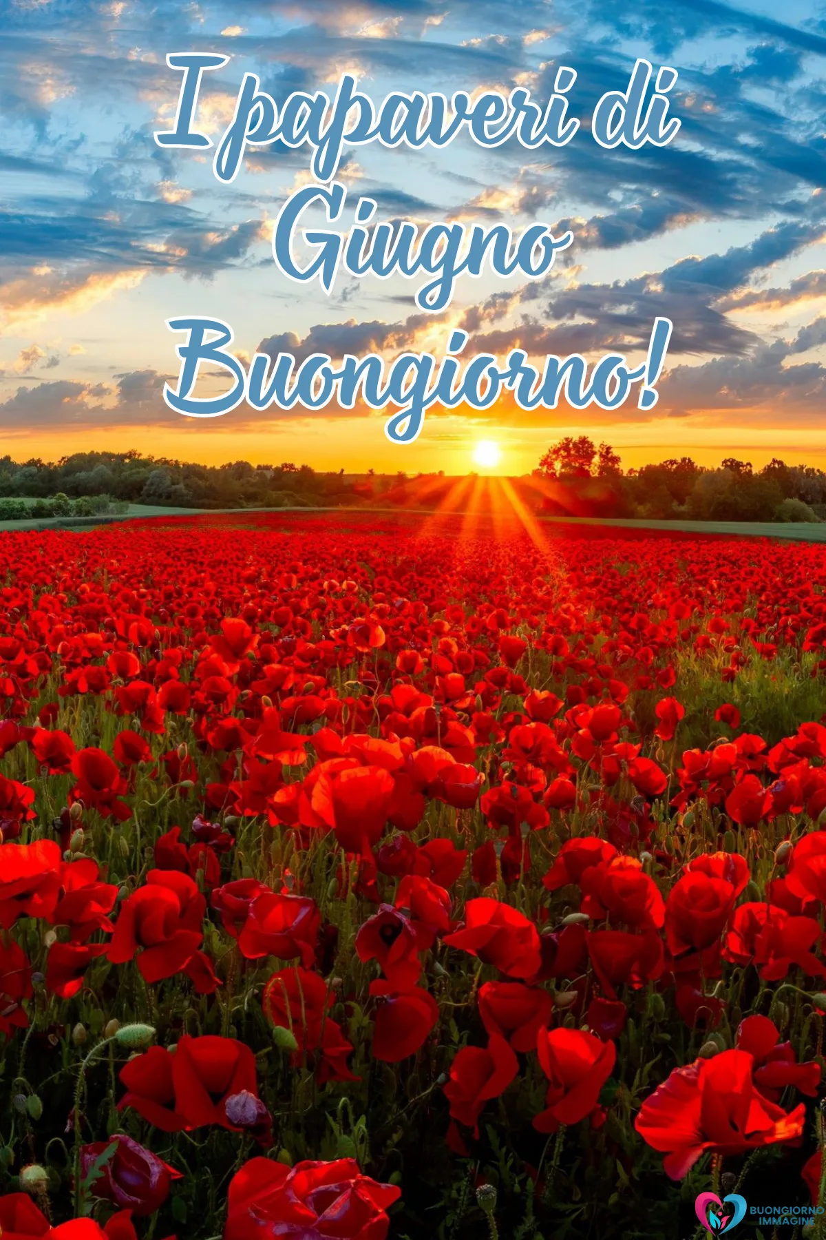 giugno immagini buongiorno nuove gratis con fiori colorati e sole