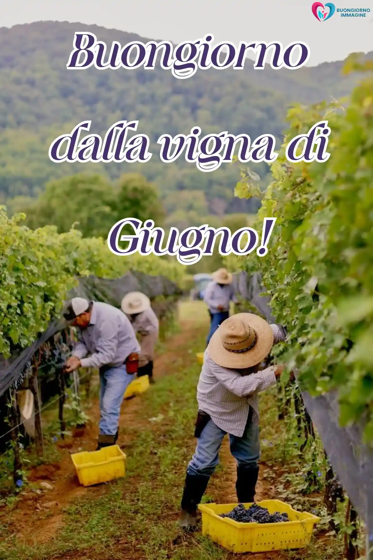 nuova immagine buongiorno giugno con tazza cappuccino e croissant (compresso)