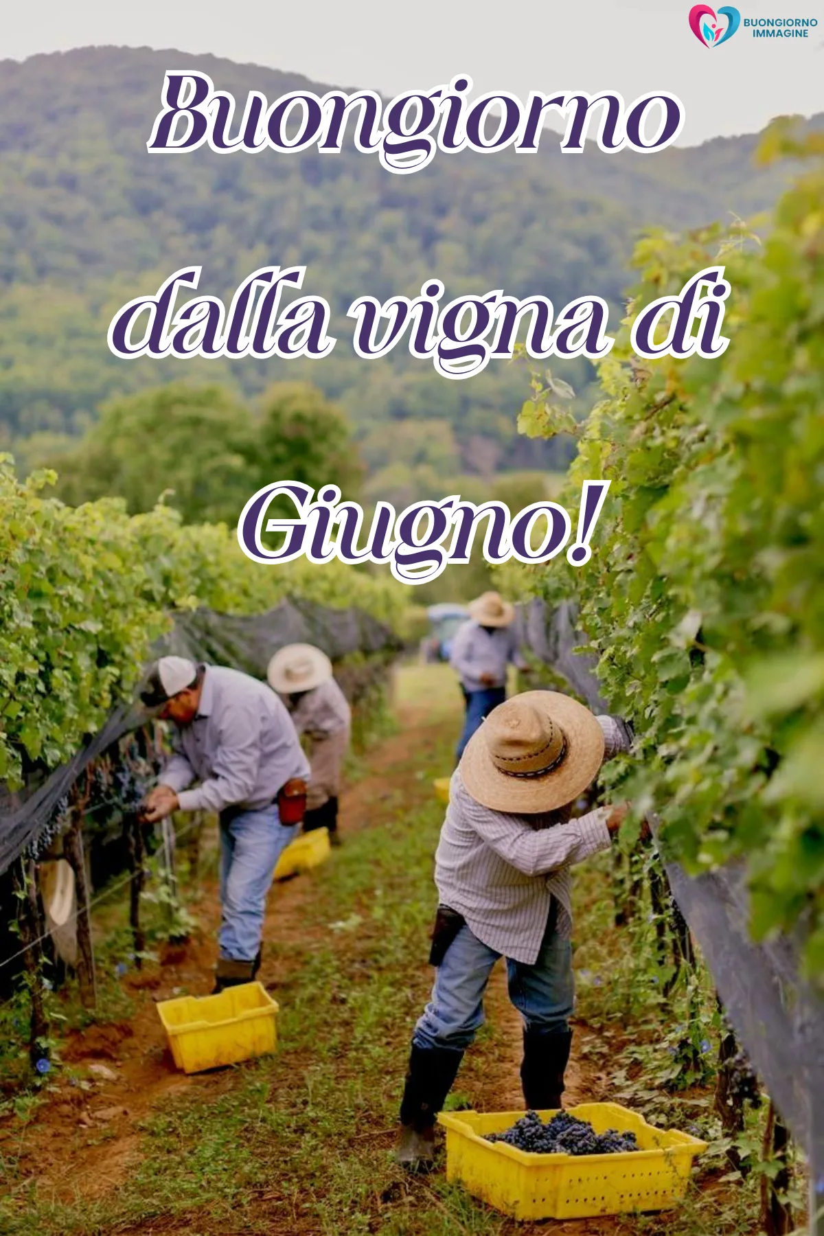 giugno immagini buongiorno nuove gratis con tazza cappuccino e croissant