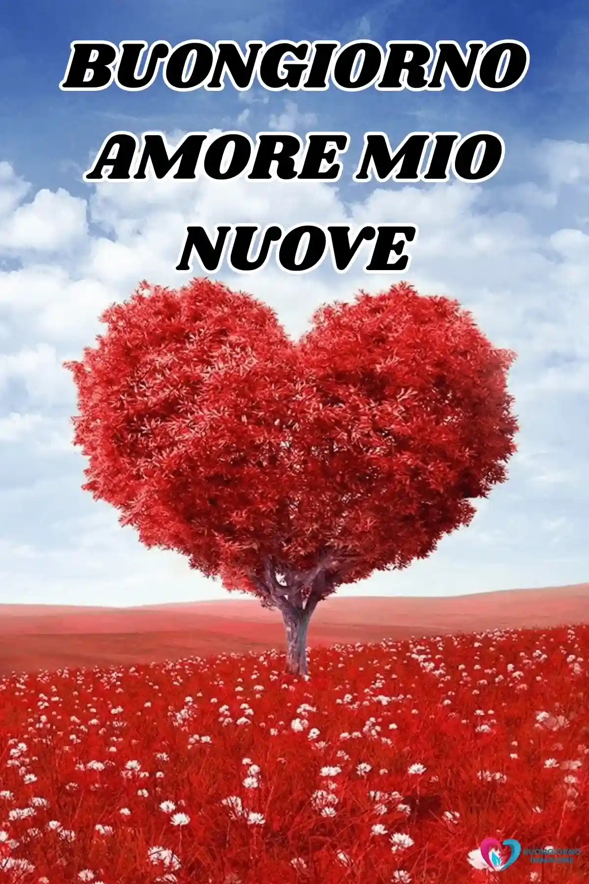 foto amore buongiorno aggiornata 12
