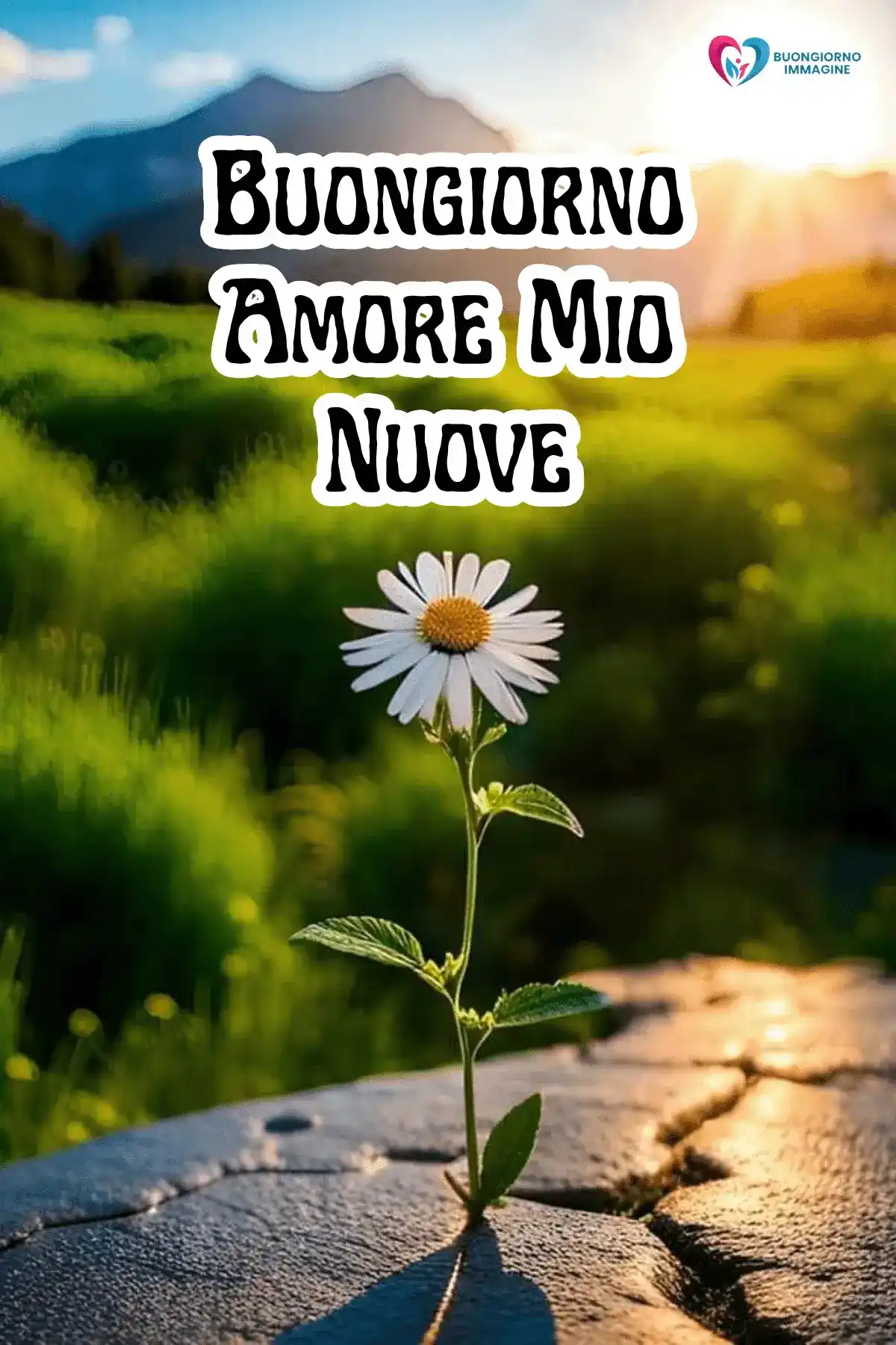 nuova foto buongiorno amore mio 16