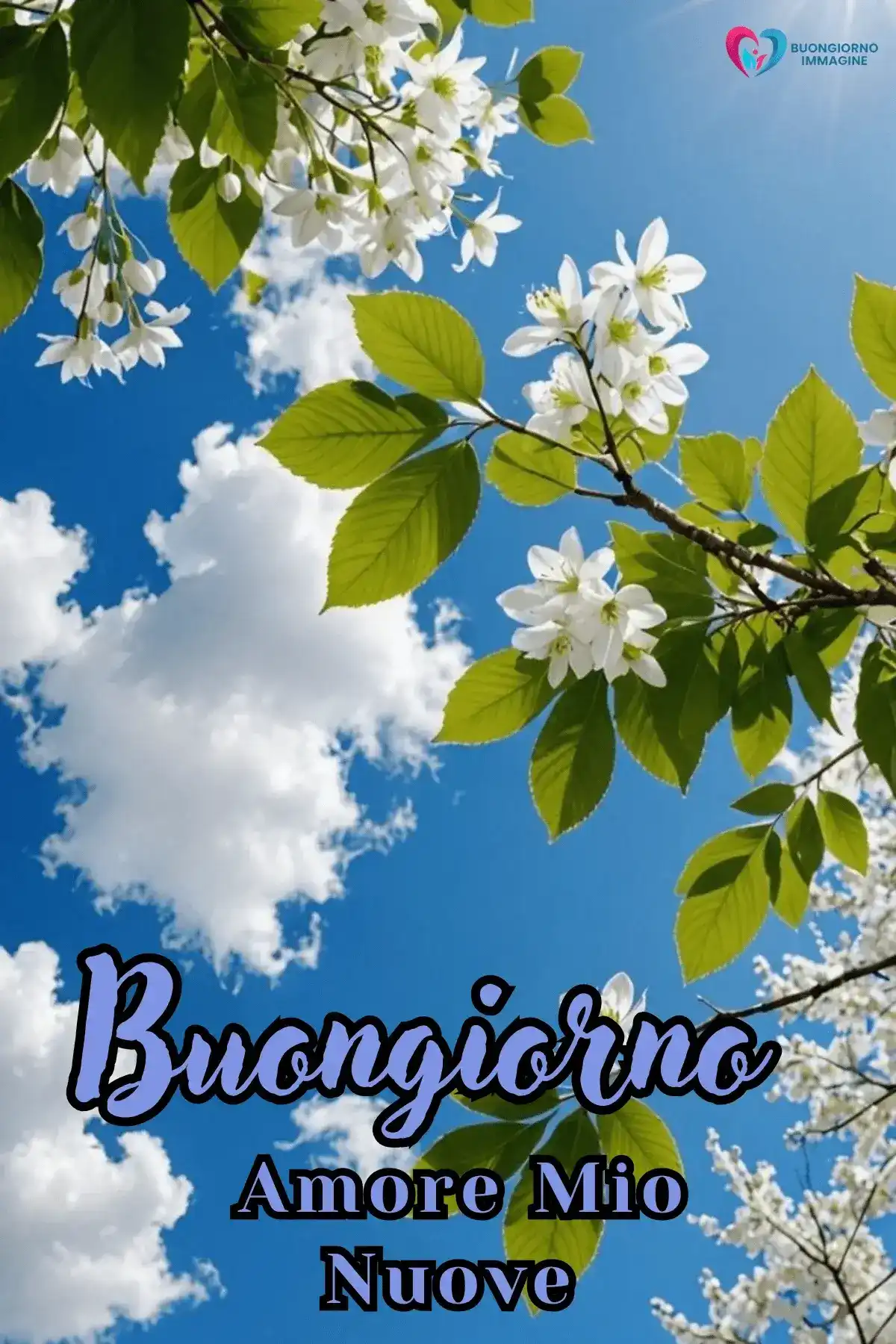 immagine buongiorno amore recente 24