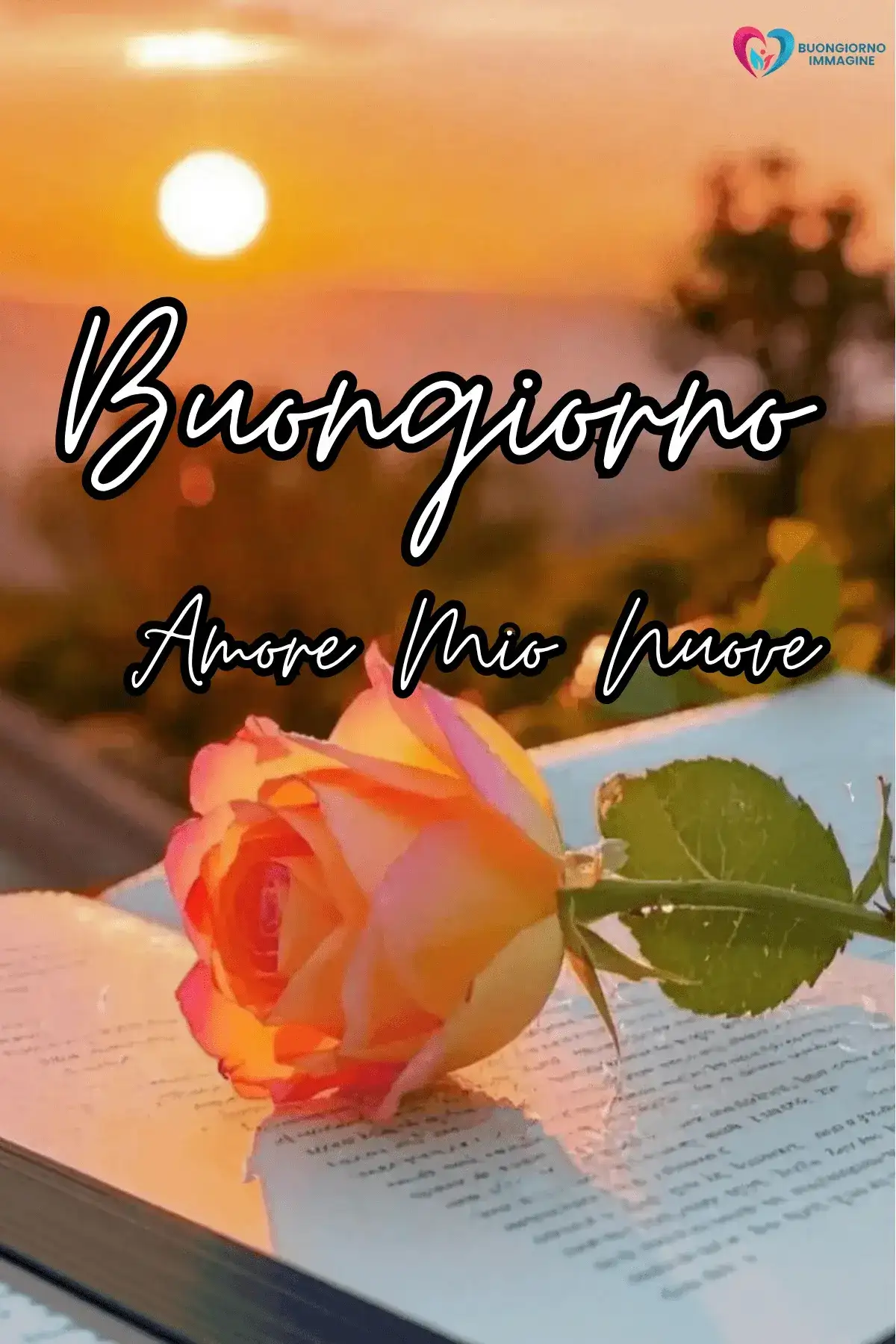 buongiorno amore mio 2026 28