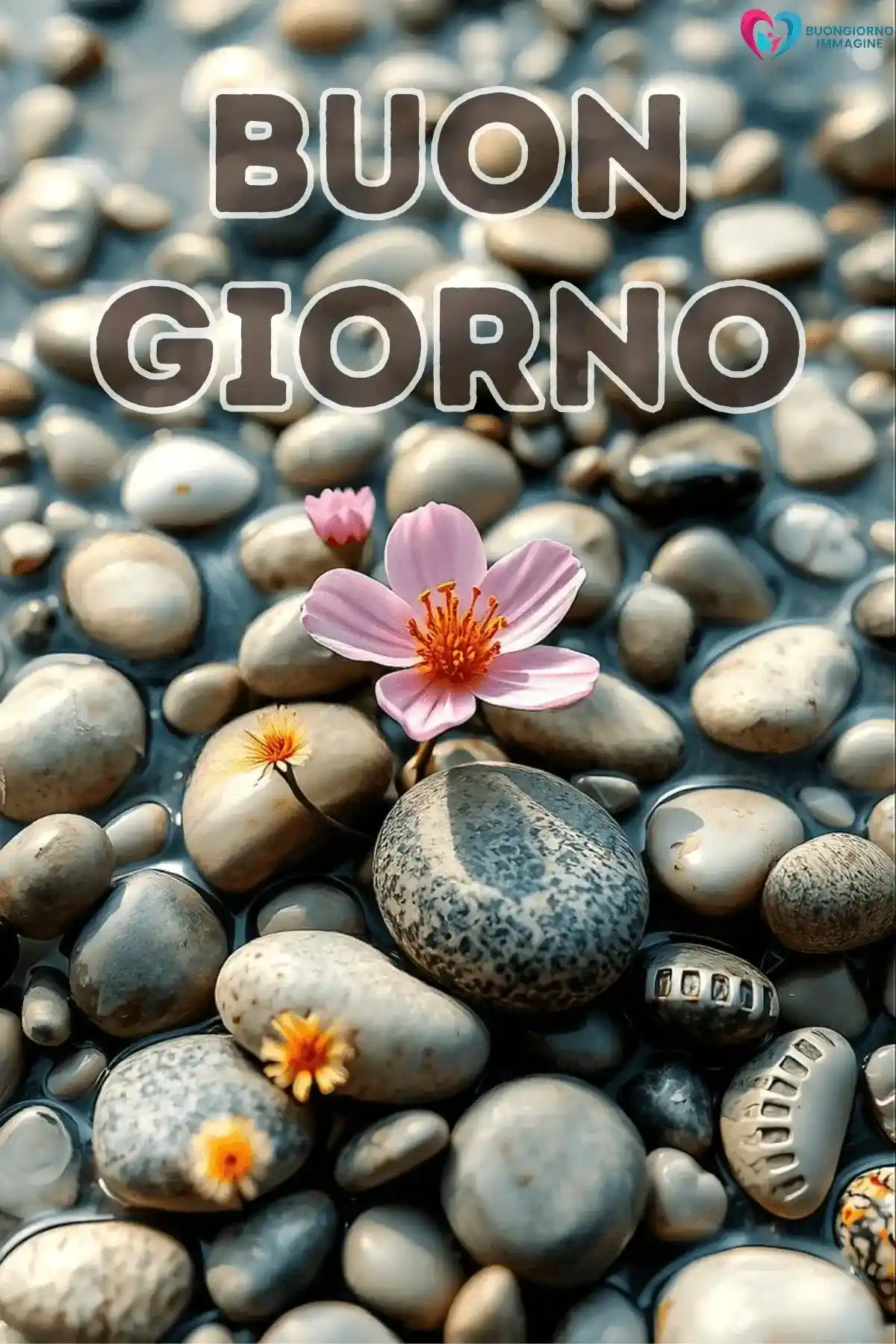 pietra bianca buongiorno hd 5