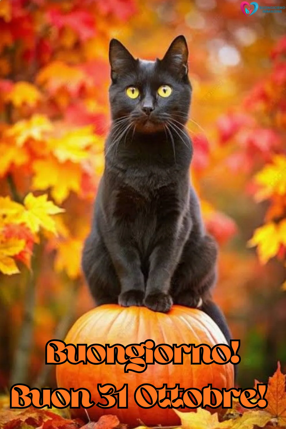 buongiorno 31 ottobre halloween 2 buongiorno 31 ottobre halloween 2