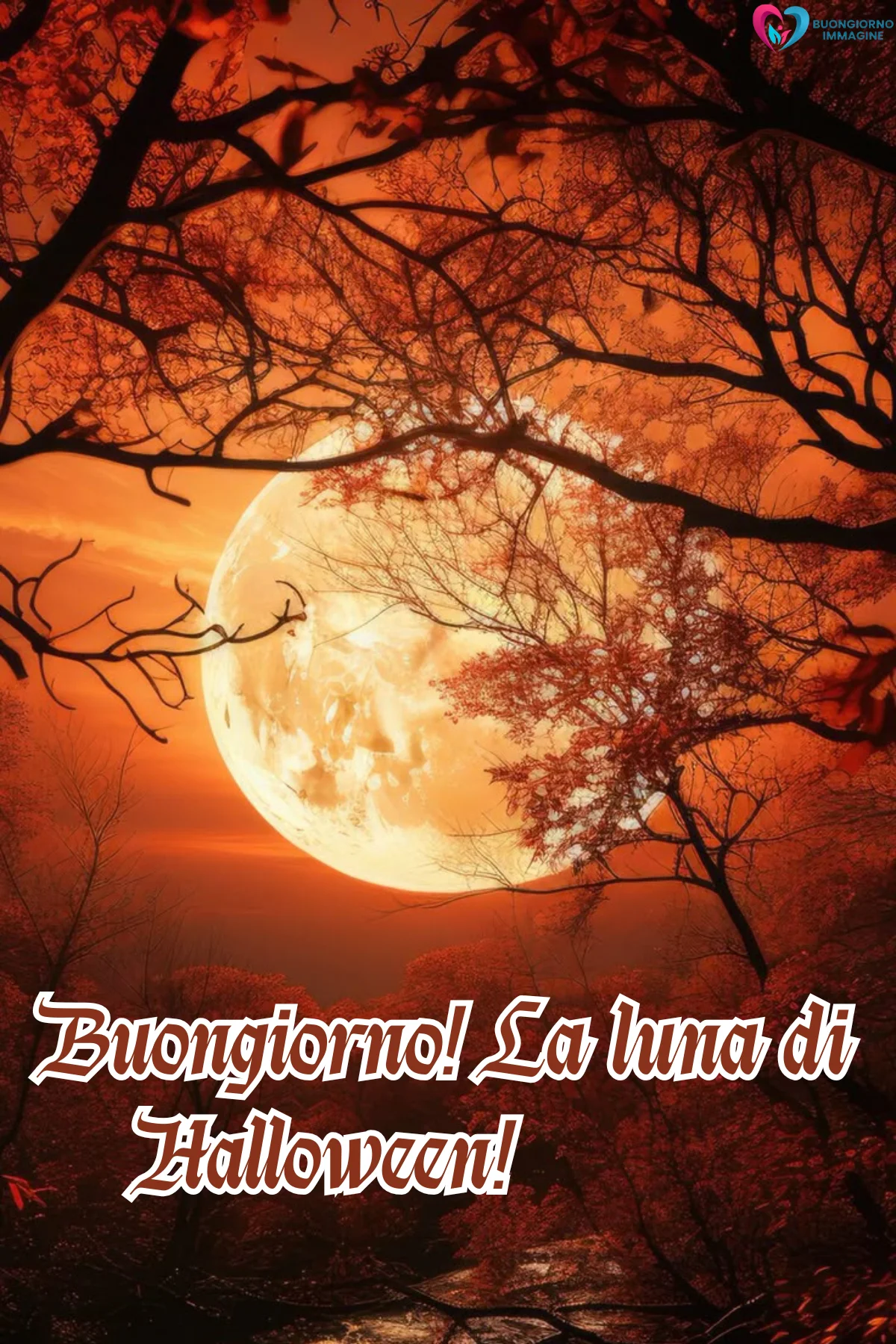 immagini halloween ottobre — buongiornoimmagine.it immagini halloween ottobre — buongiornoimmagine.it