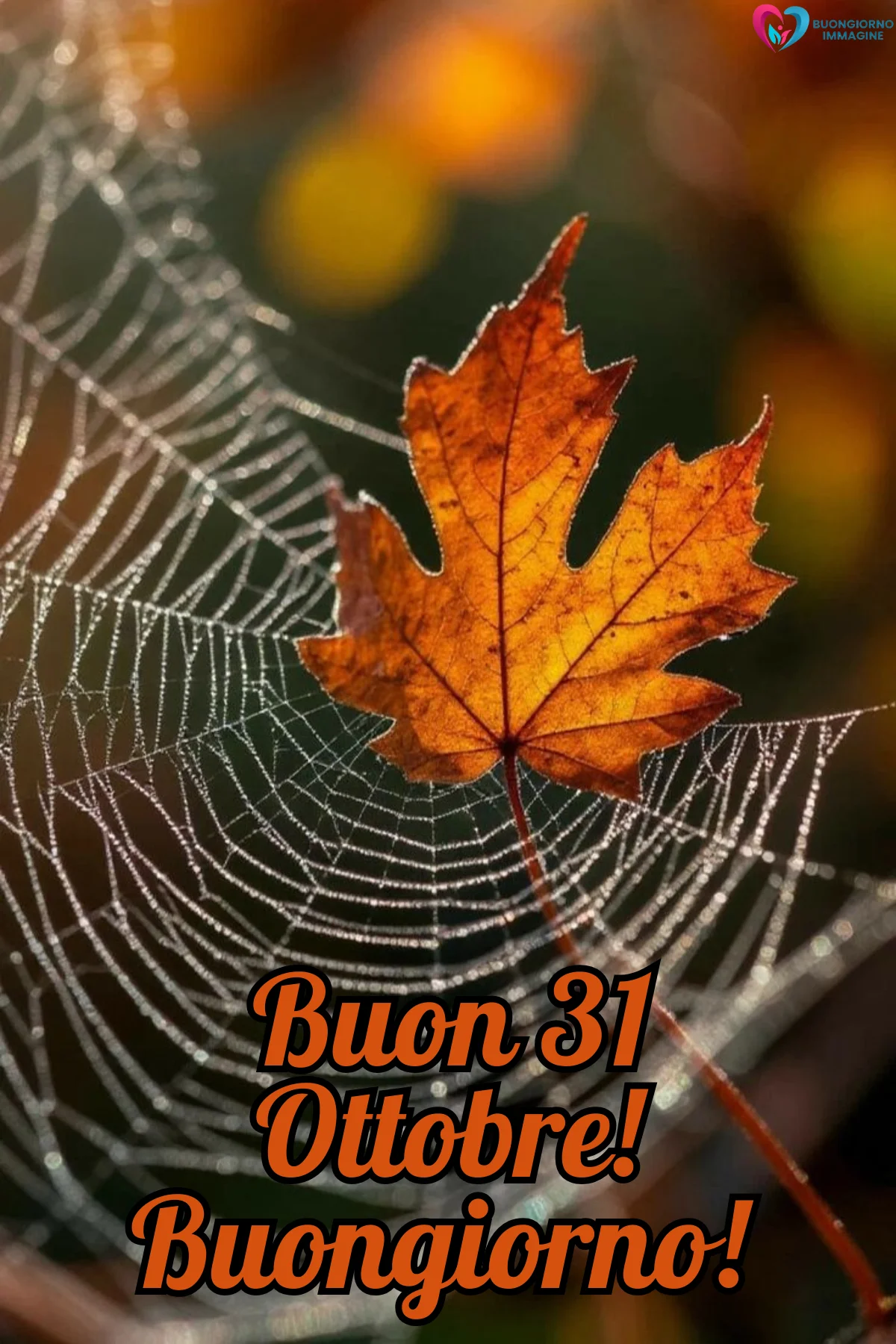 immagini halloween ottobre — buongiornoimmagine.it immagini halloween ottobre — buongiornoimmagine.it