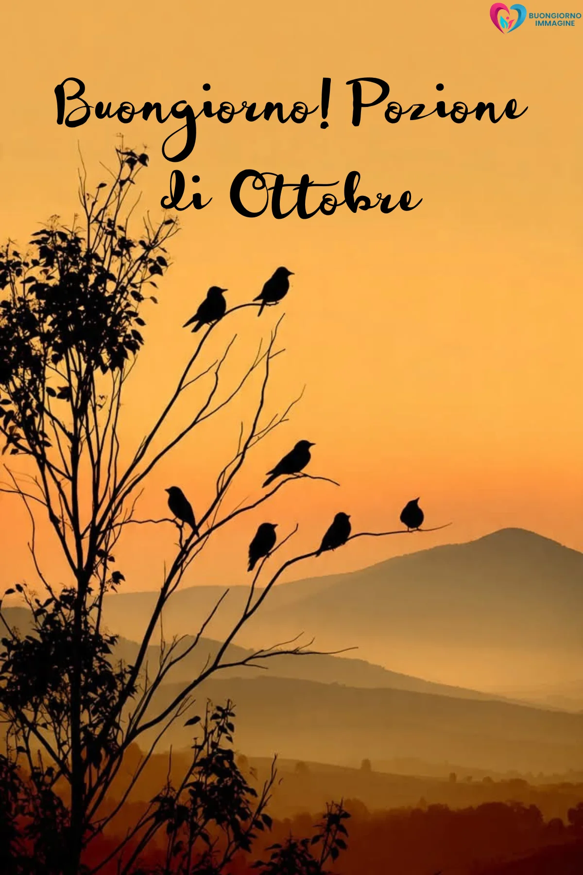immagini halloween ottobre — buongiornoimmagine.it immagini halloween ottobre — buongiornoimmagine.it