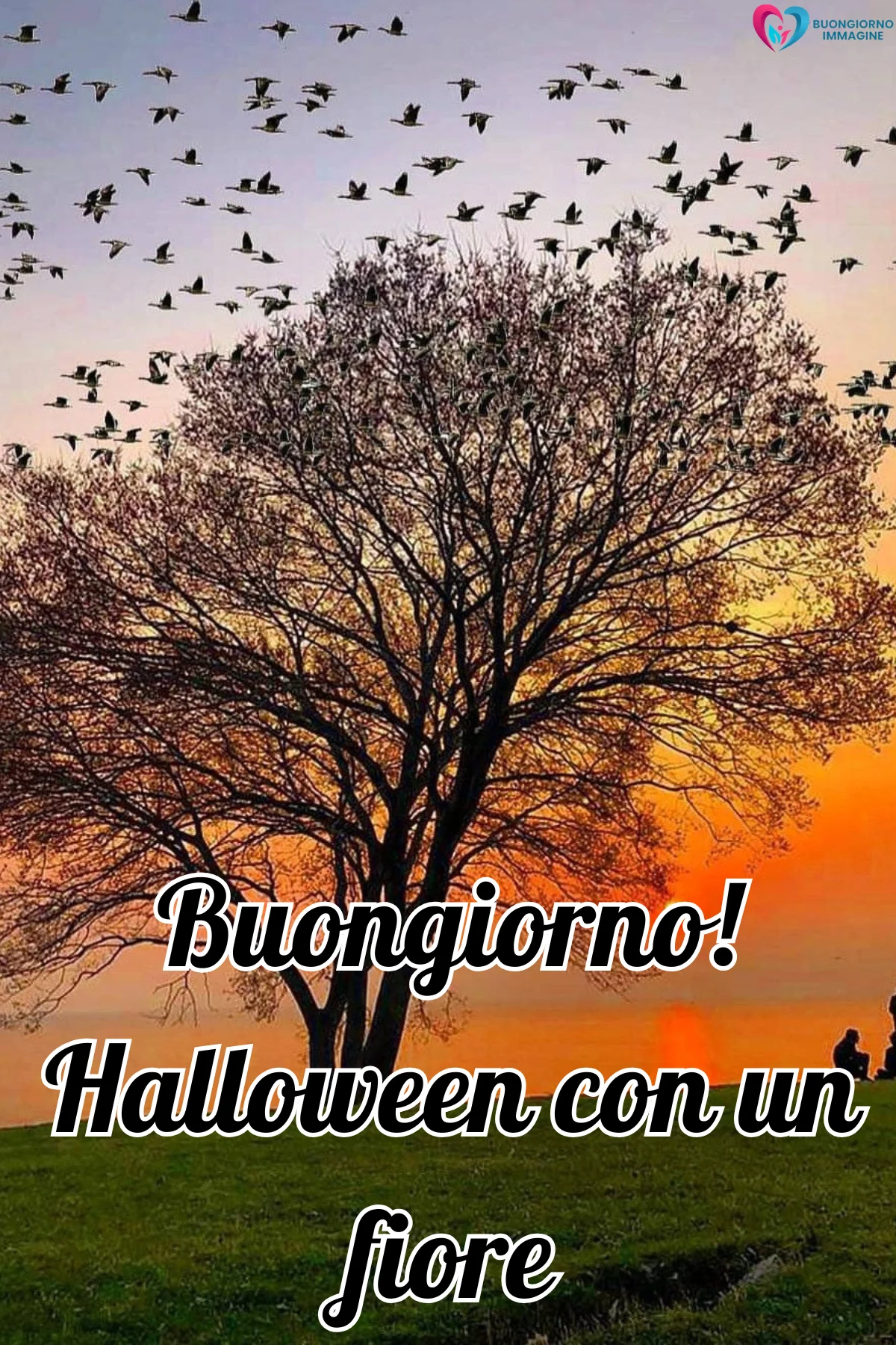 buongiorno 31 ottobre halloween 21 buongiorno 31 ottobre halloween 21