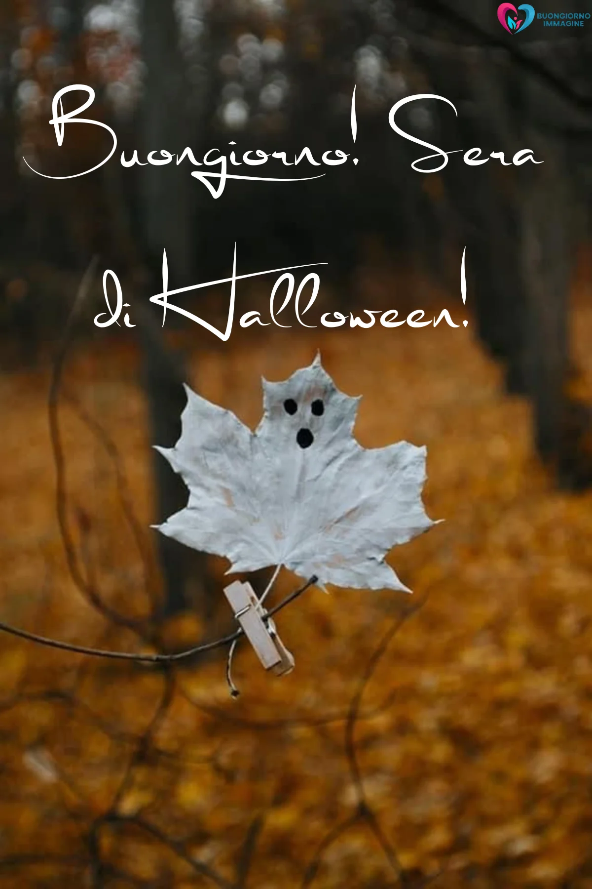 buongiorno 31 ottobre halloween 23 buongiorno 31 ottobre halloween 23
